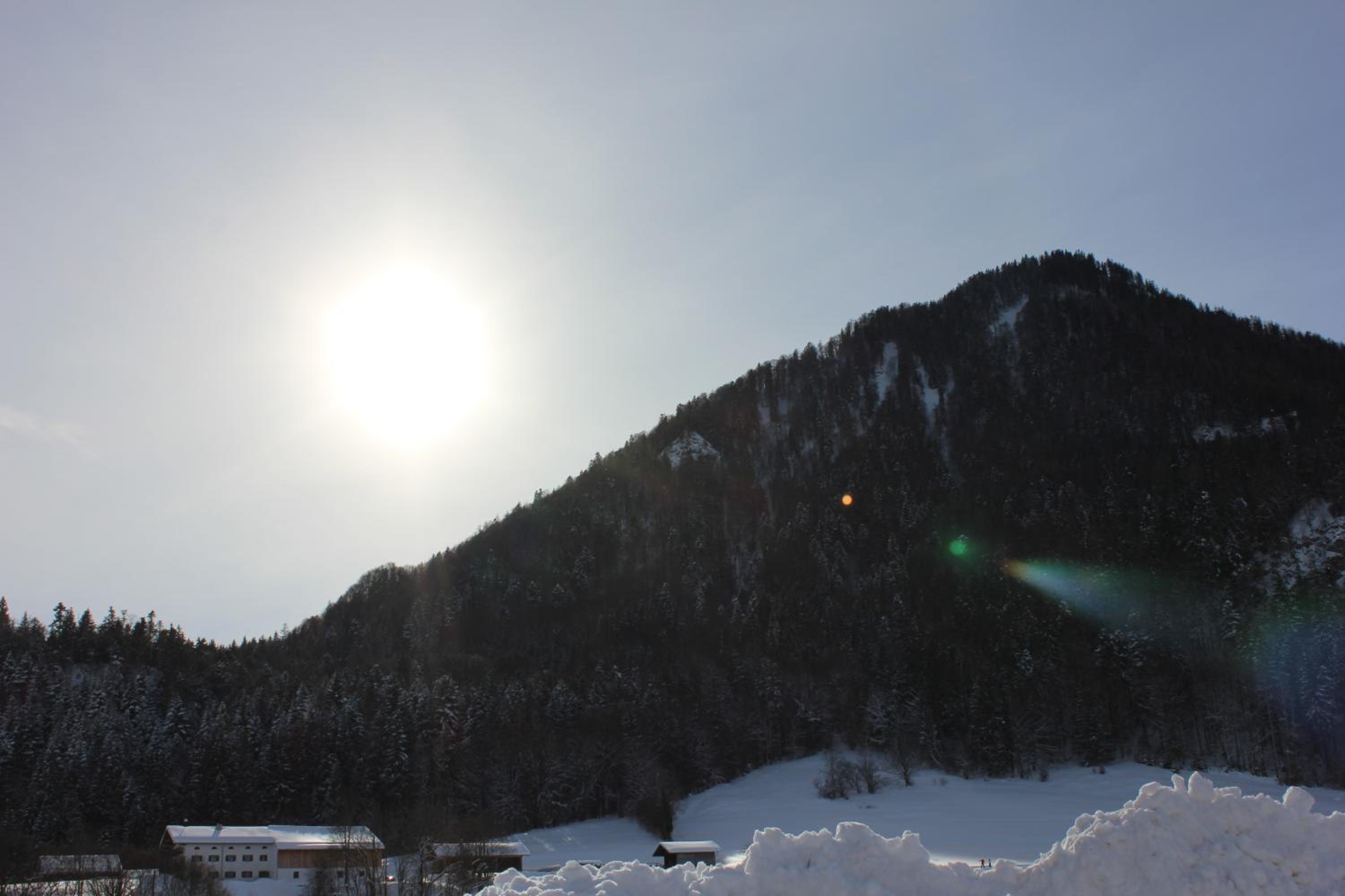 Photo 49