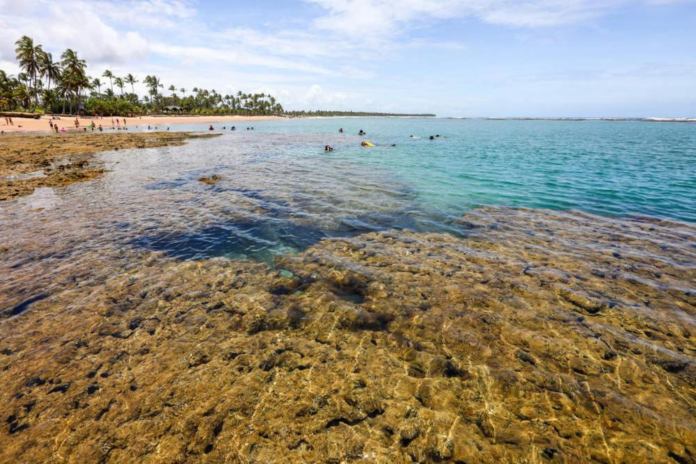 Flat Conchas e Corais - Village Paraíso localizado em Taipu de Fora, península de Barra Grande