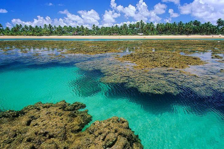 Flat Conchas e Corais - Village Paraíso localizado em Taipu de Fora, península de Barra Grande