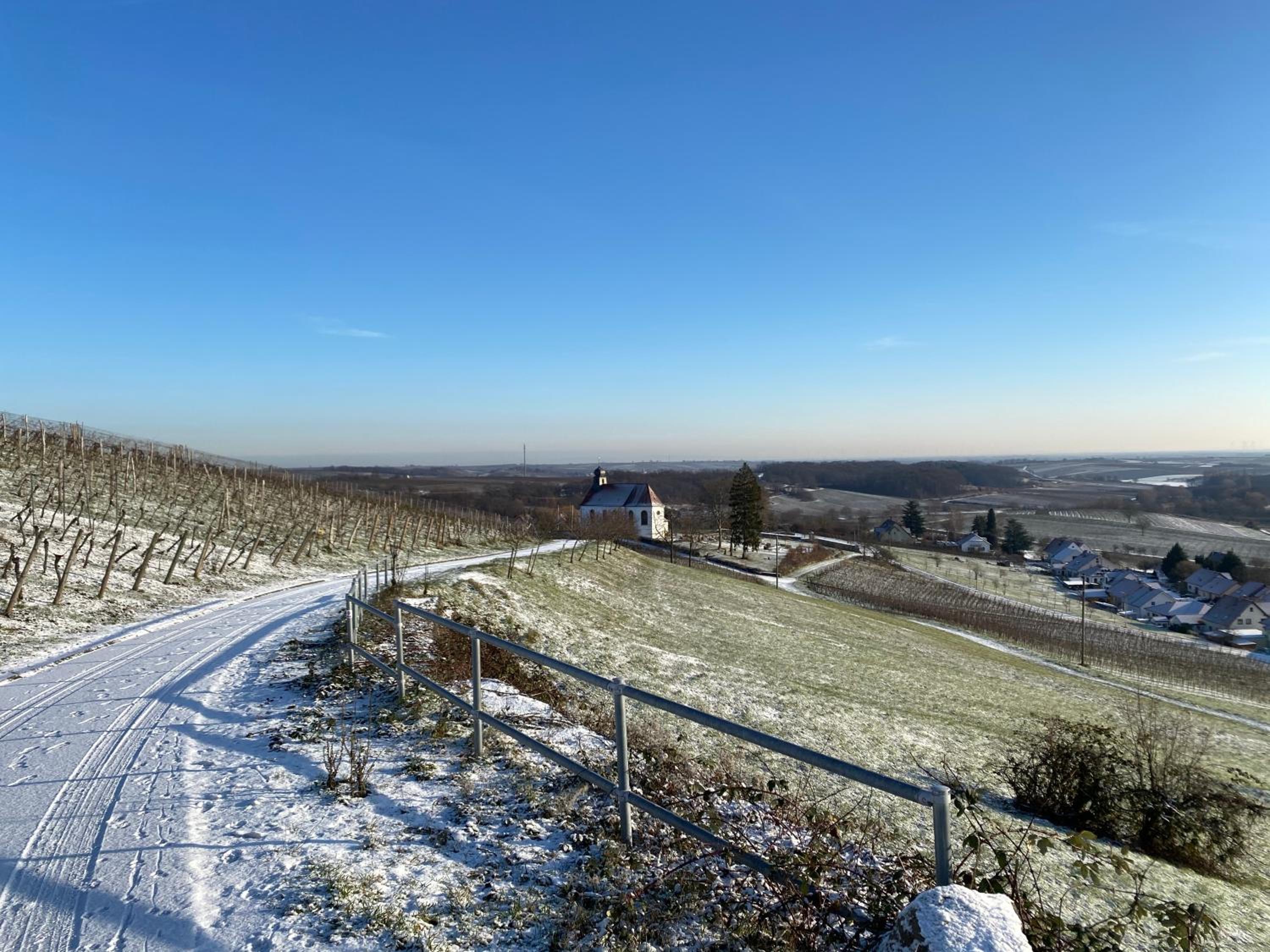 Atelier de Pfalz-Loftstyl mit Pfalzblick