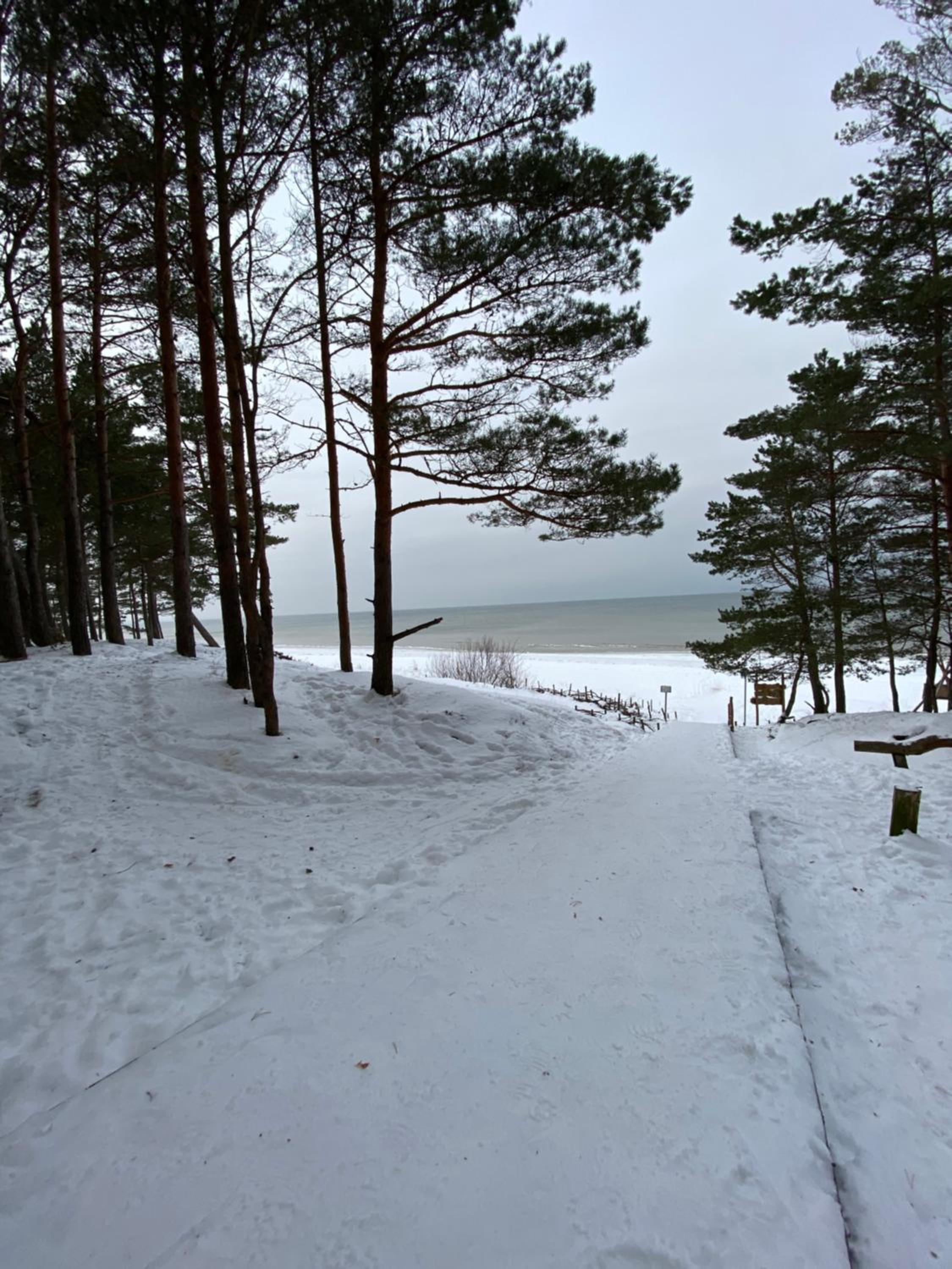 Family Paradise by the Sea view 5