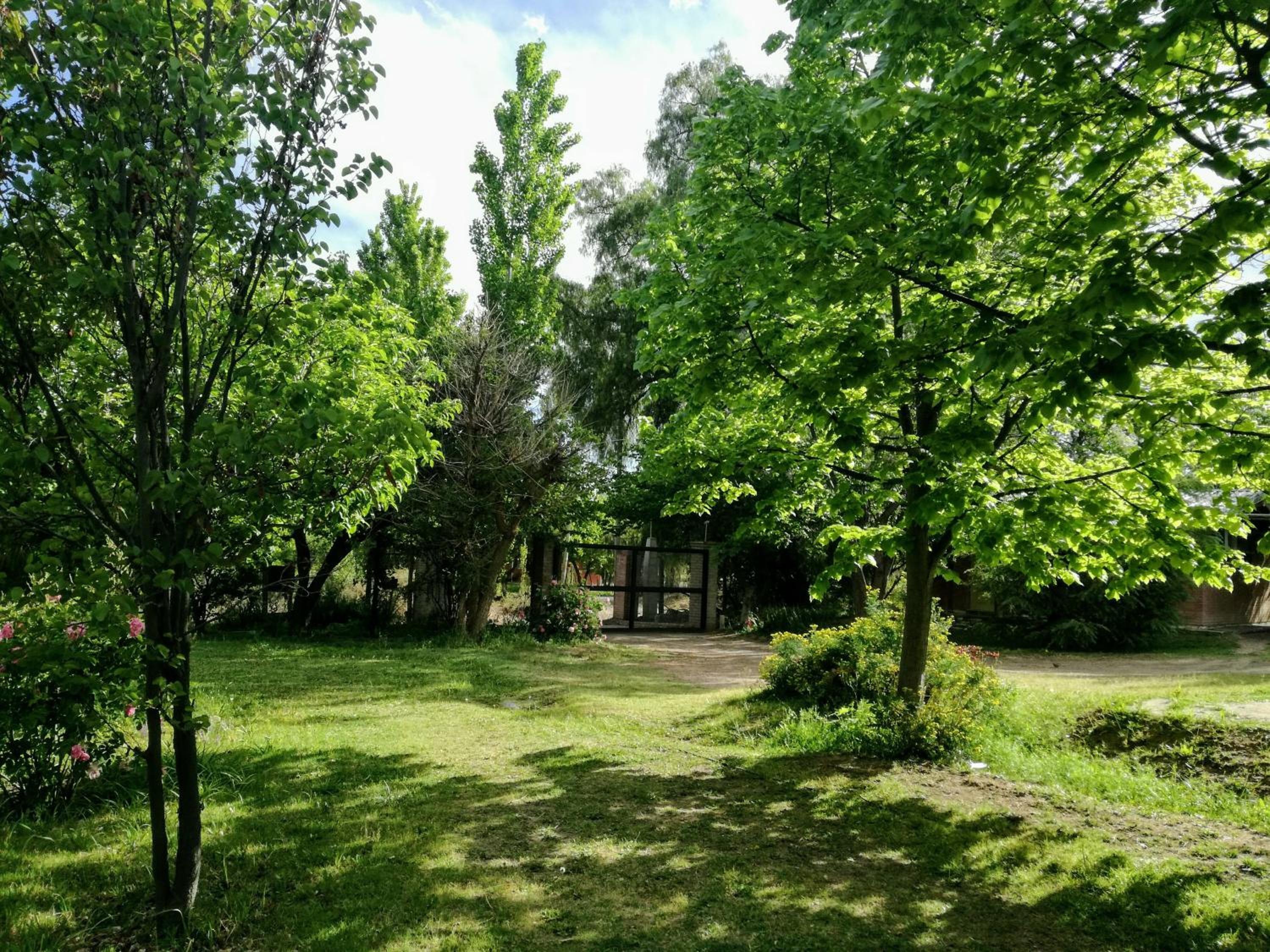 Tardecitas del Atuel