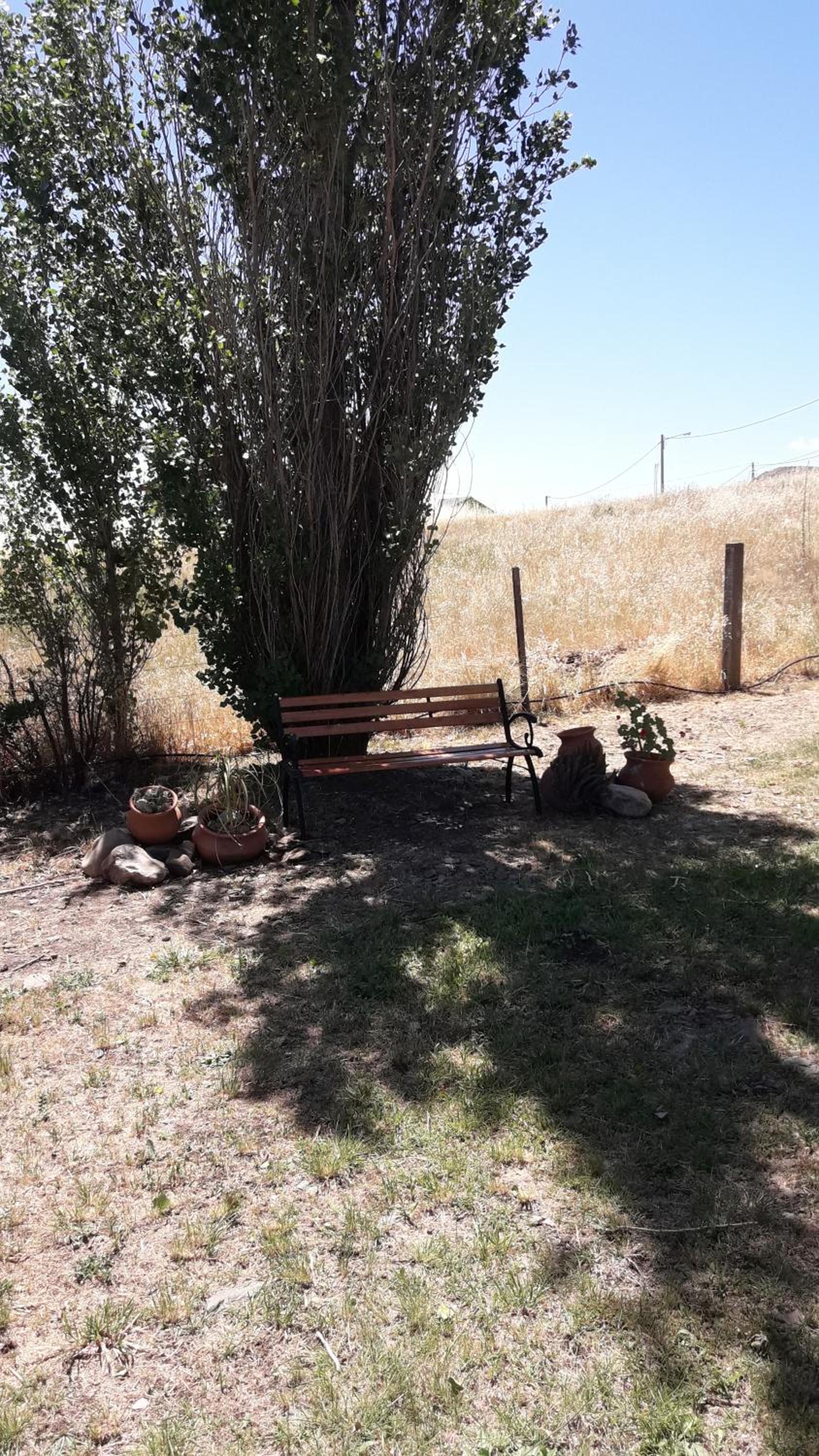 Los Cardones