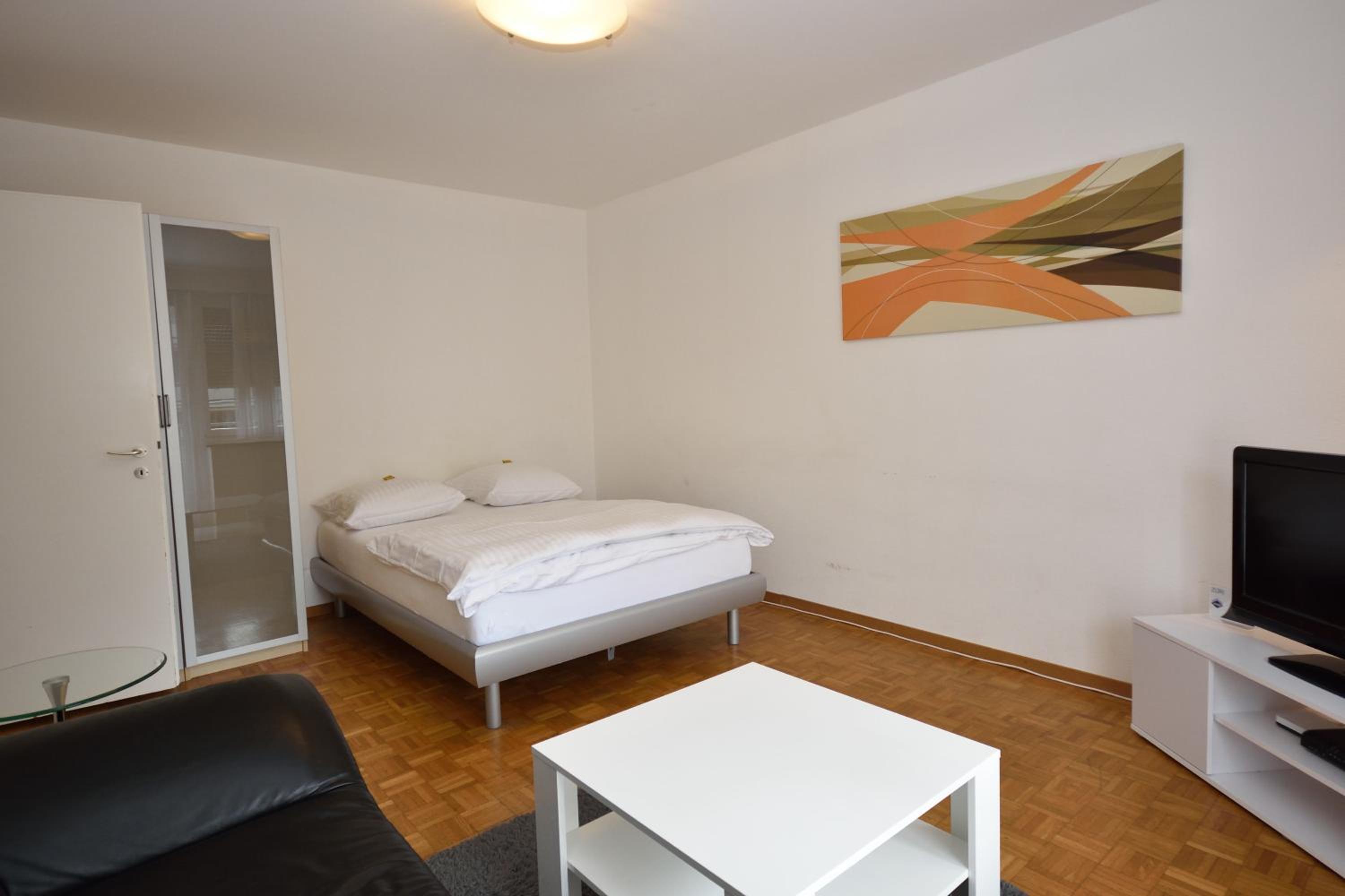 Spacious studio near lake and opera - Mill 512