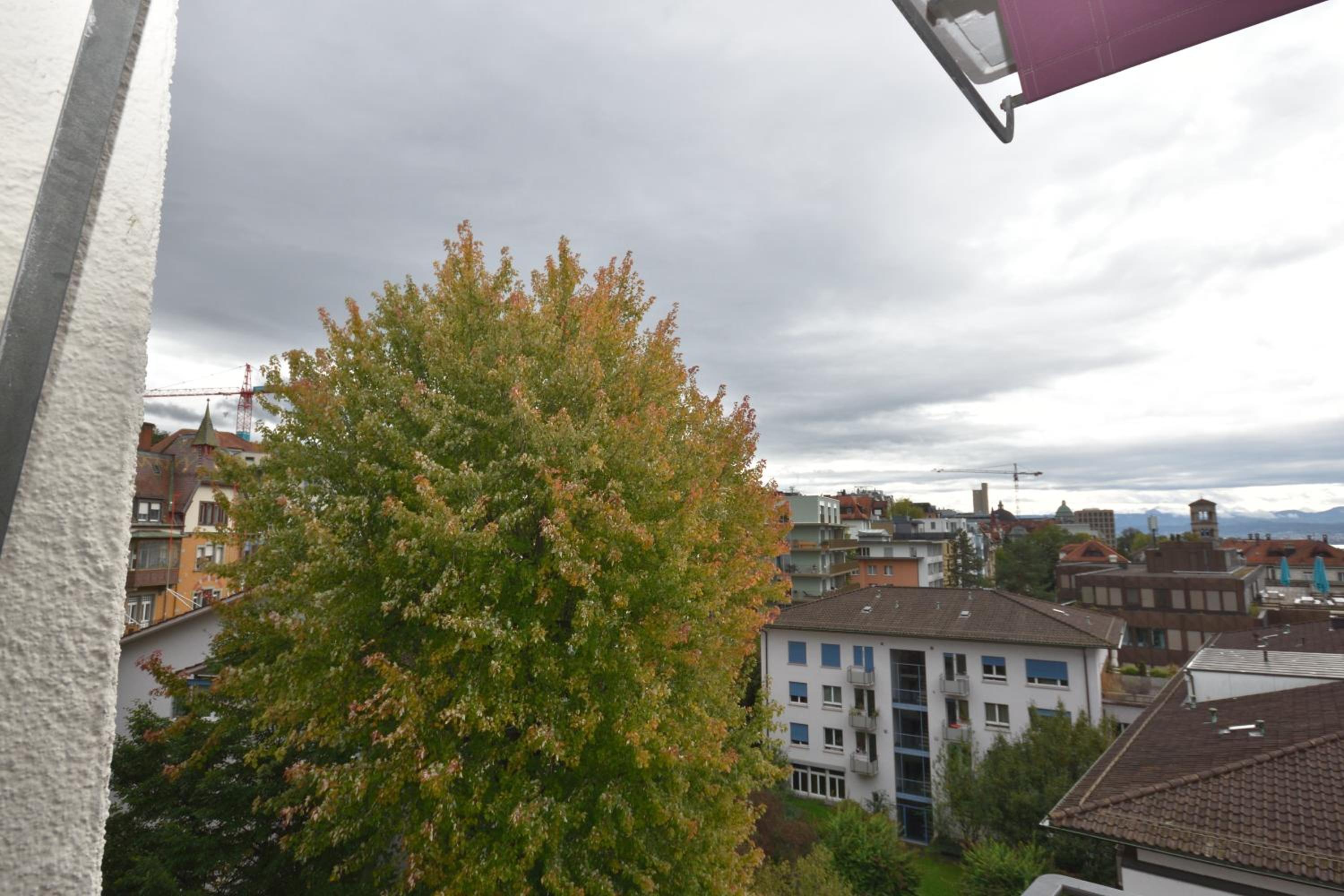 Spacious studio with balcony - Vineyard 71
