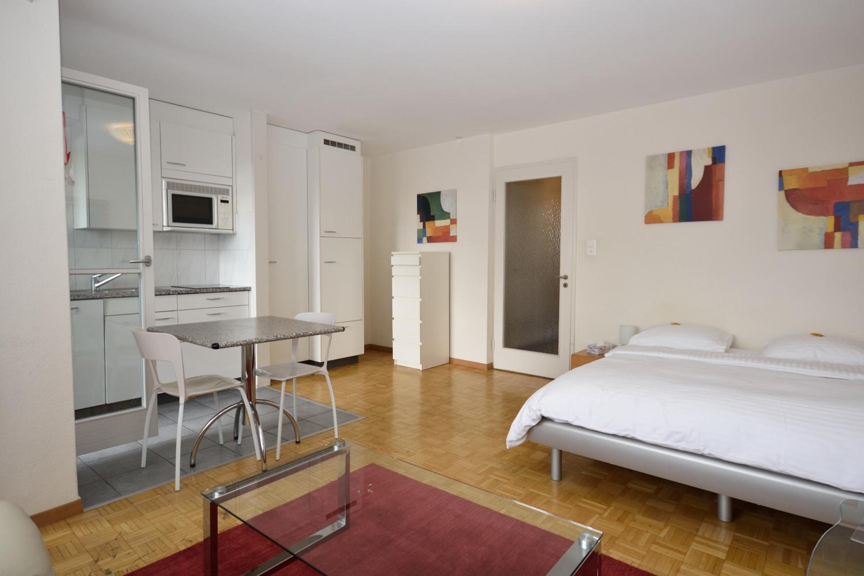Spacious studio with balcony - Vineyard 71