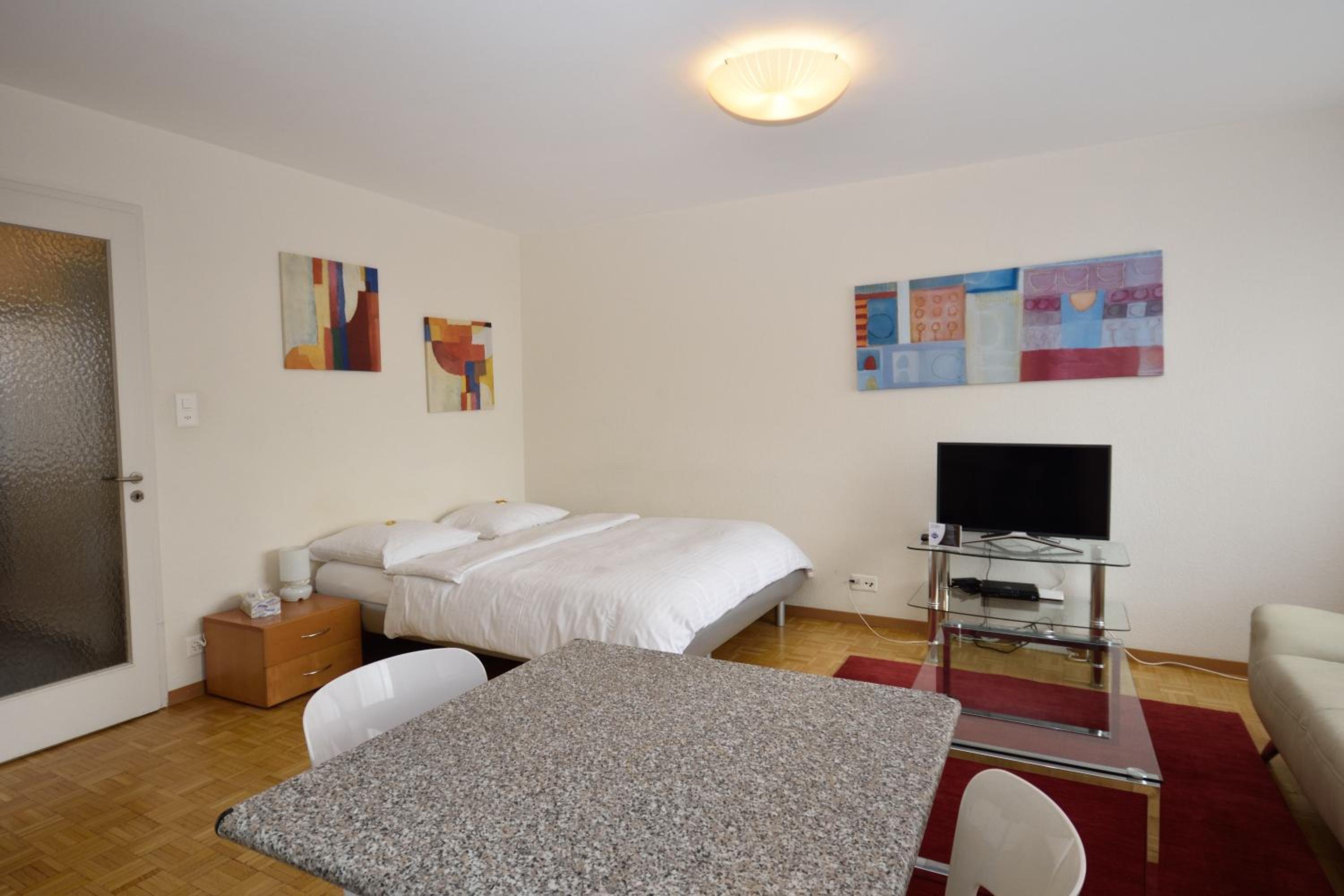 Spacious studio with balcony - Vineyard 71