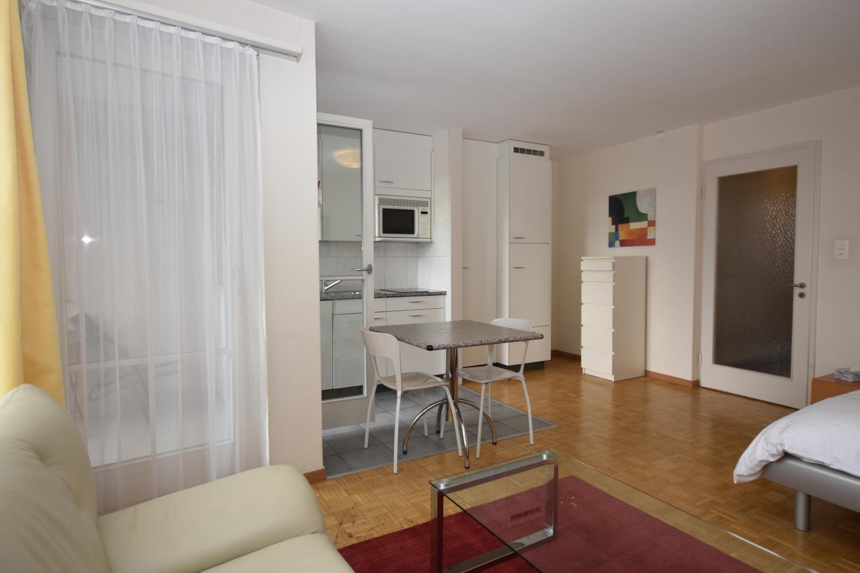 Spacious studio with balcony - Vineyard 71