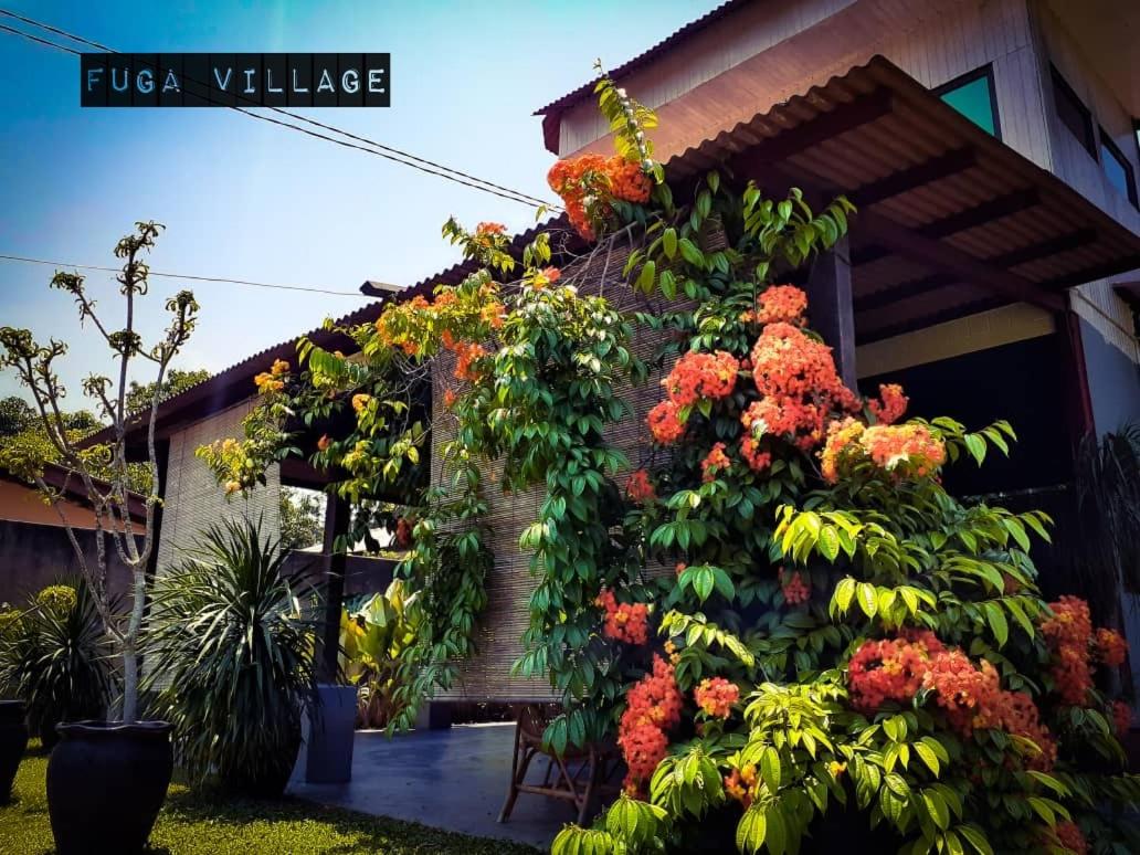 Fuga Village BeachGetaway photo 5