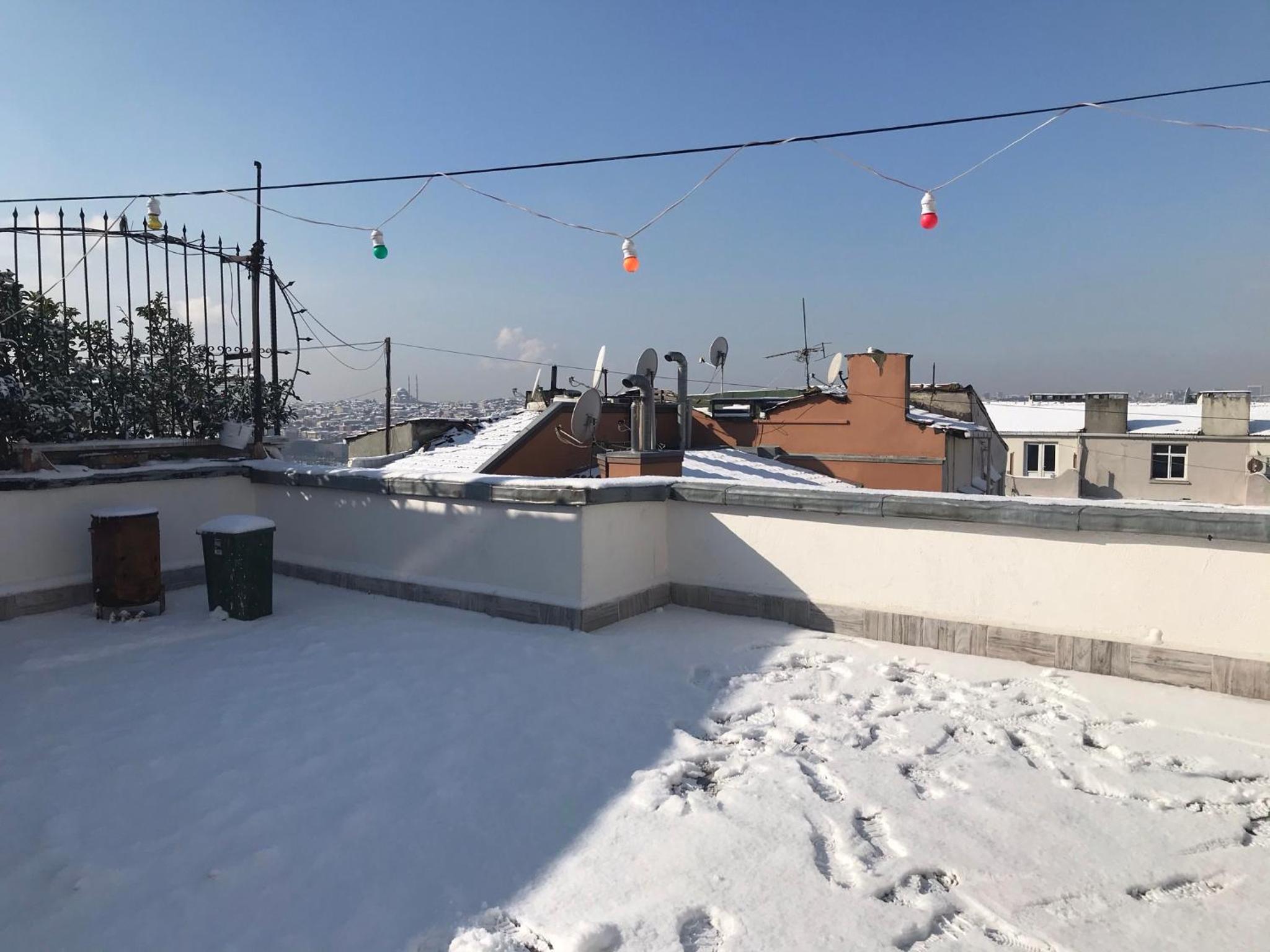 roof