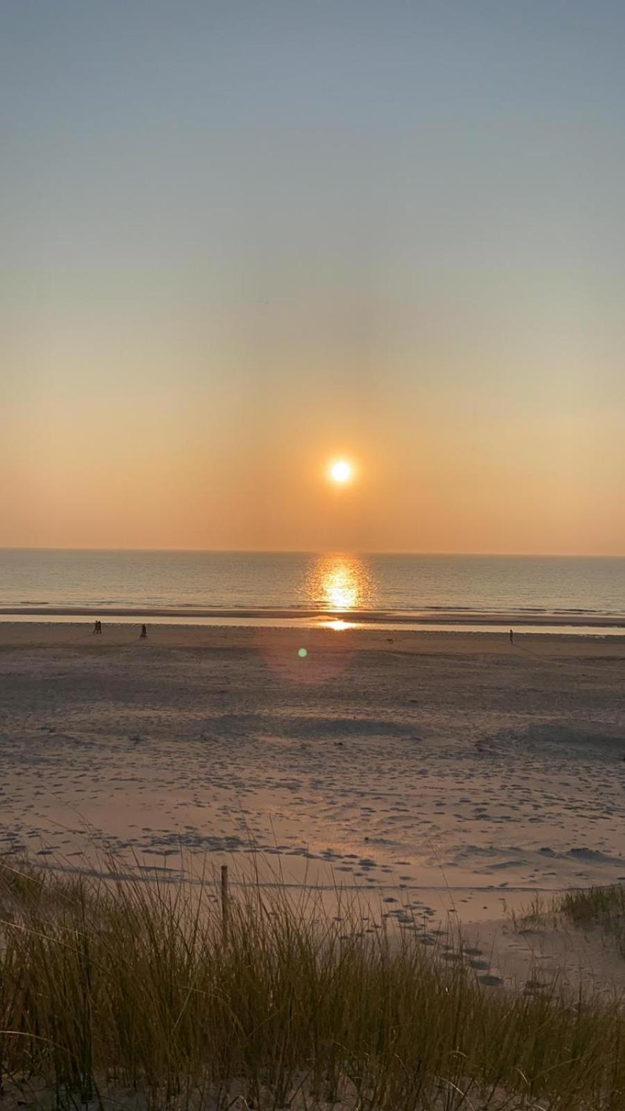 Fijne Duinzicht view 5