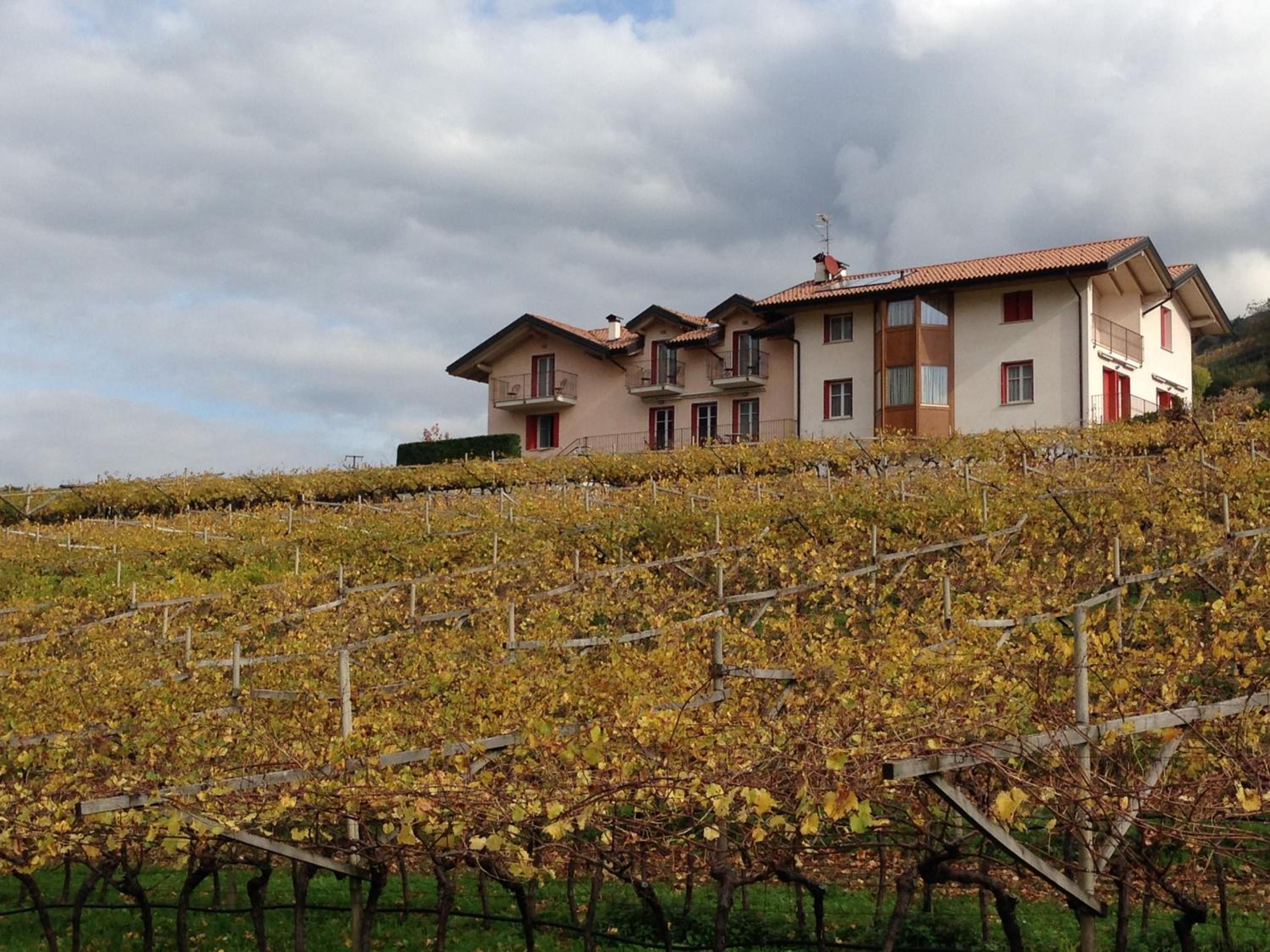 Agriturismo Maso Grener view 5