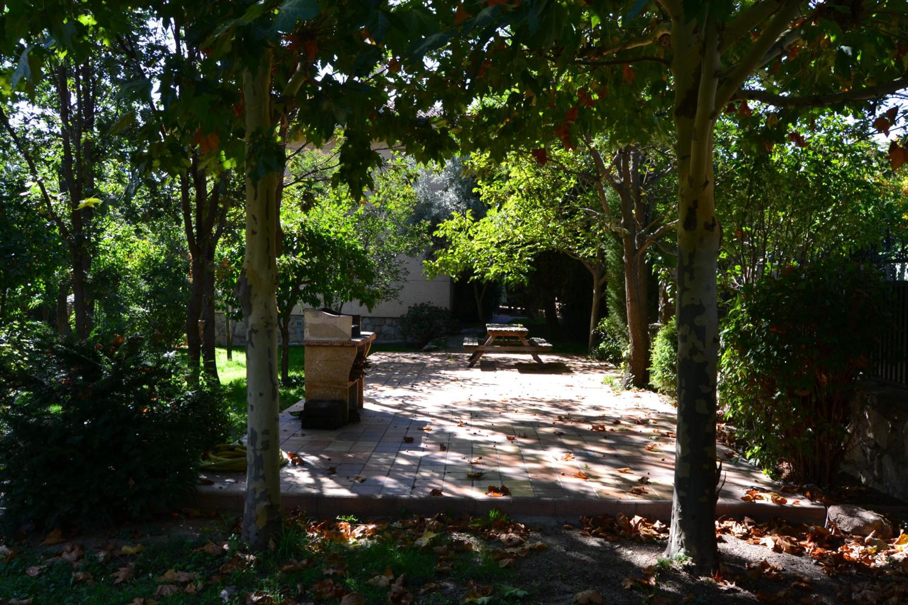 Casa Rural El Trepador Azul Futbolín Barbacoa 8 personas view 4