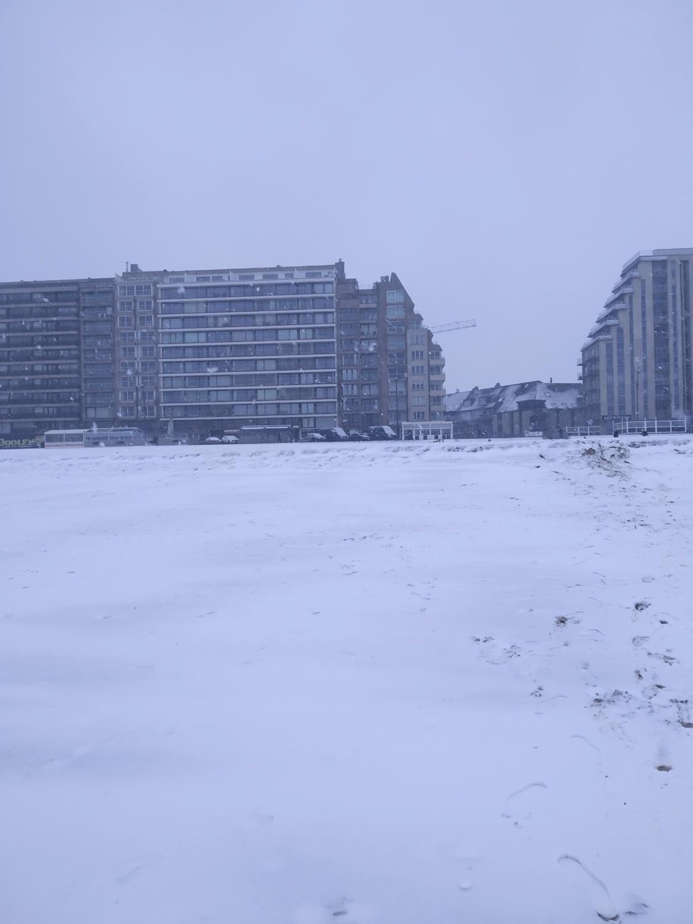 Appartement Blankenberge Zeedijk - Frontaal zeezicht