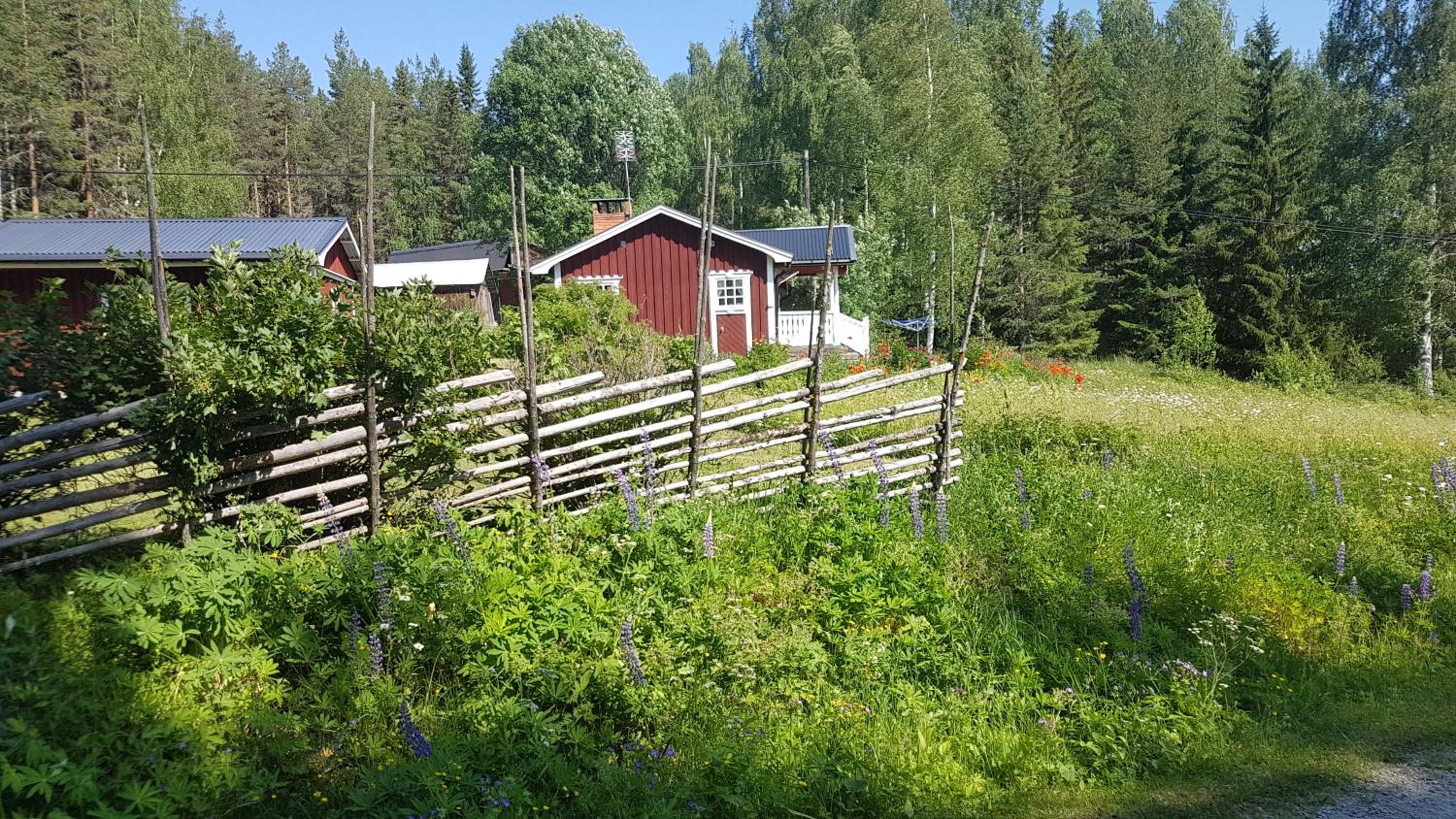 Photo 10