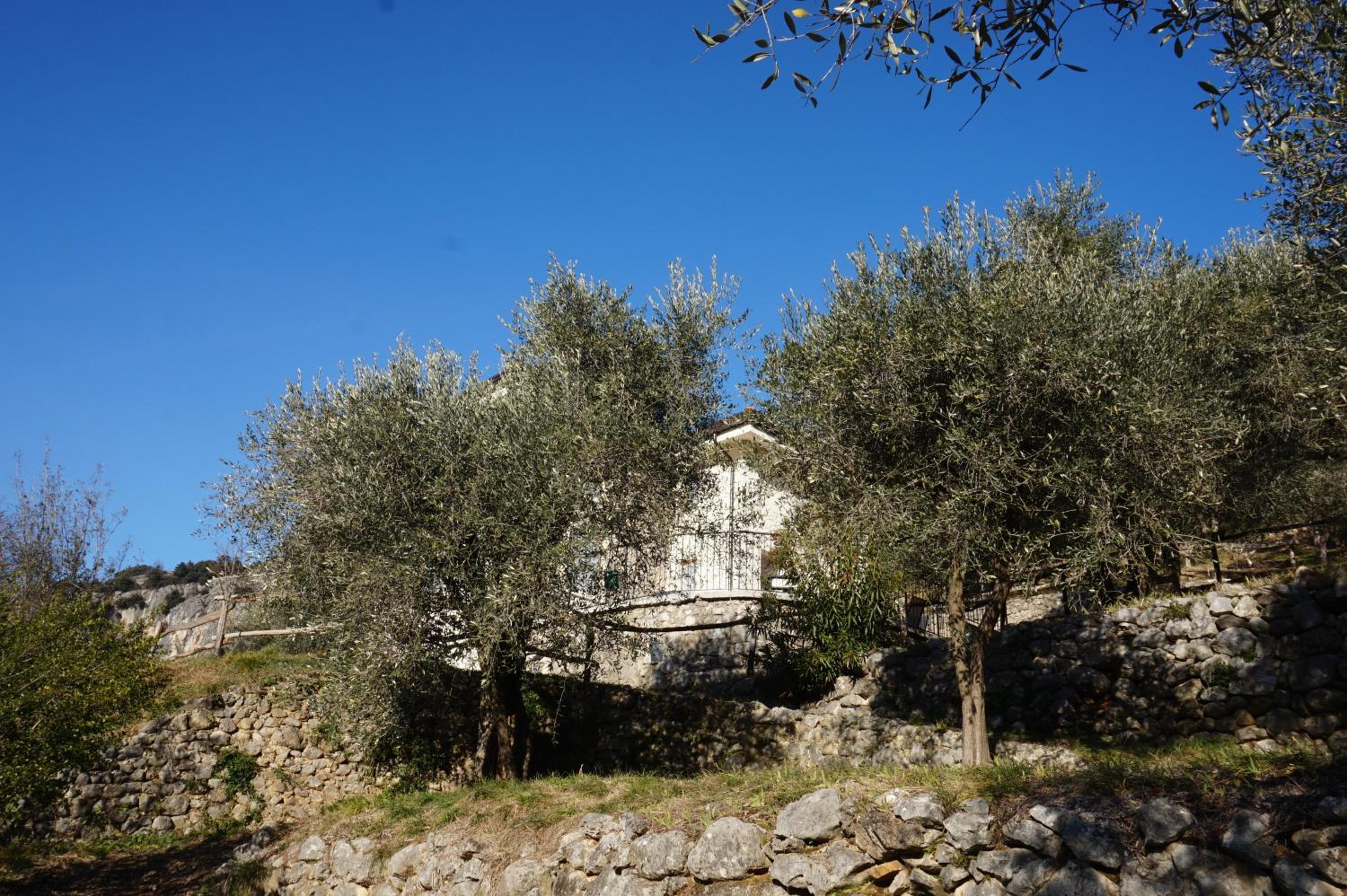 Photo 27