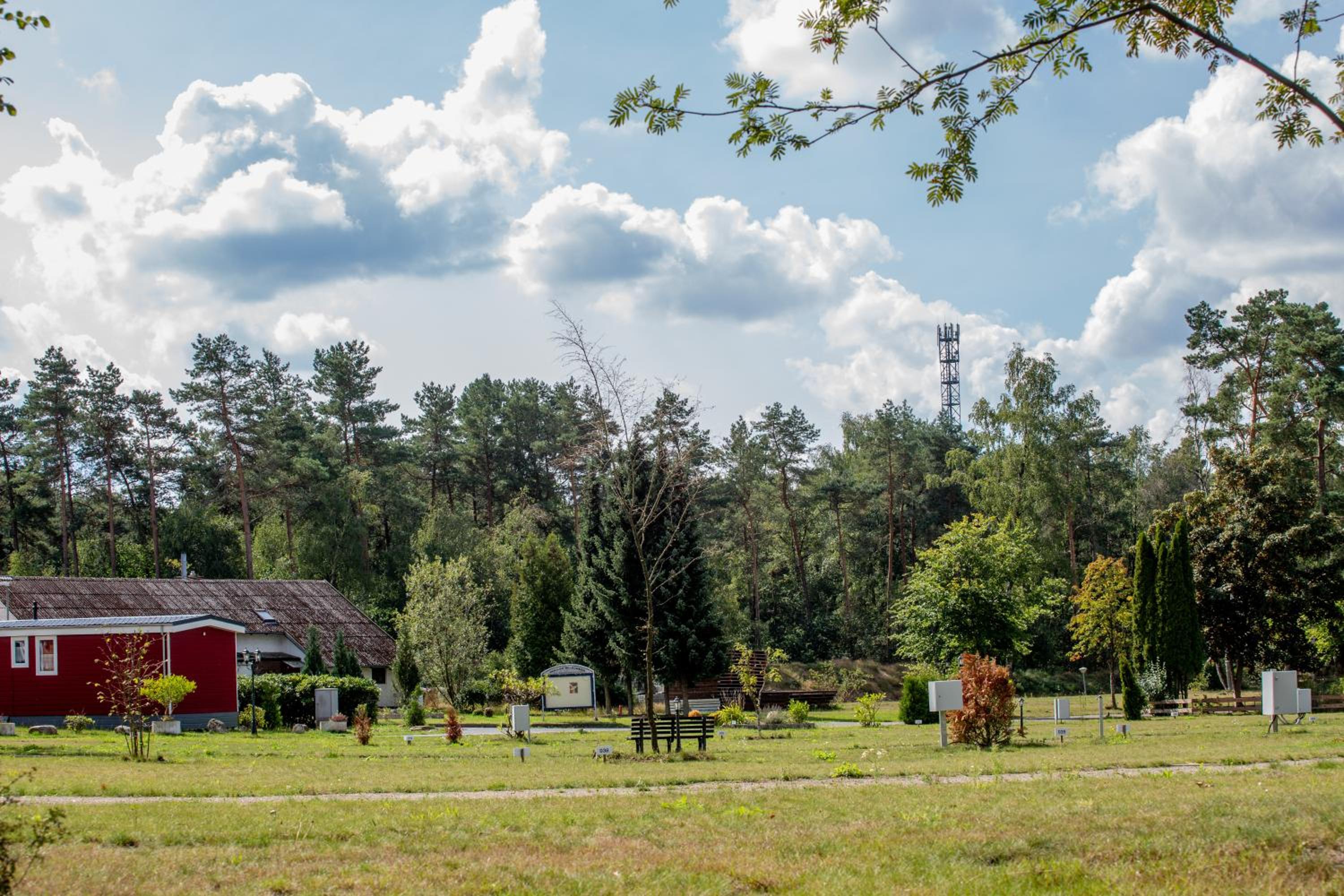 Naturcamping Lüneburger Heide - Chalets & Tiny Häuser view 3