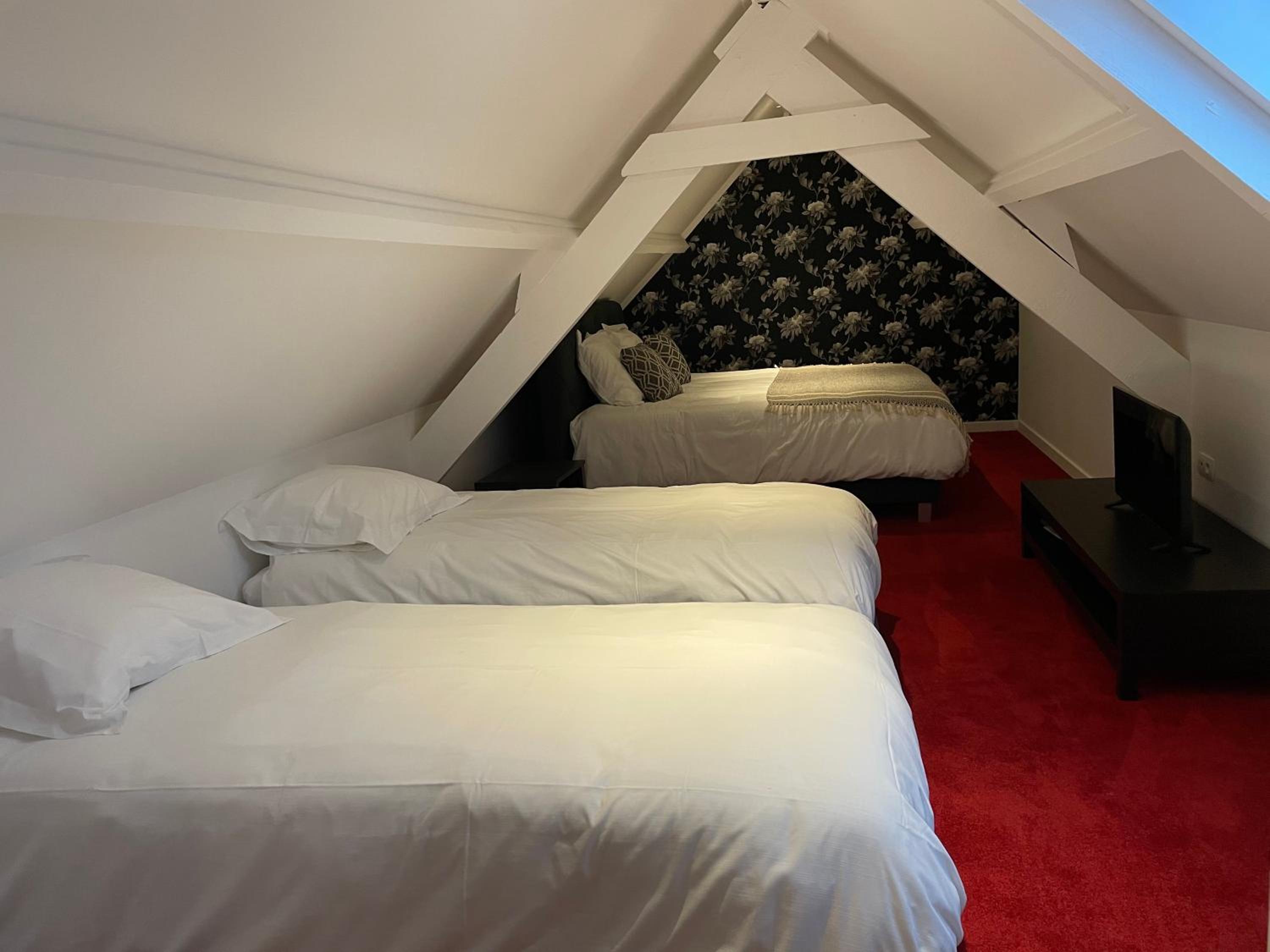B&B Het Doctershoes