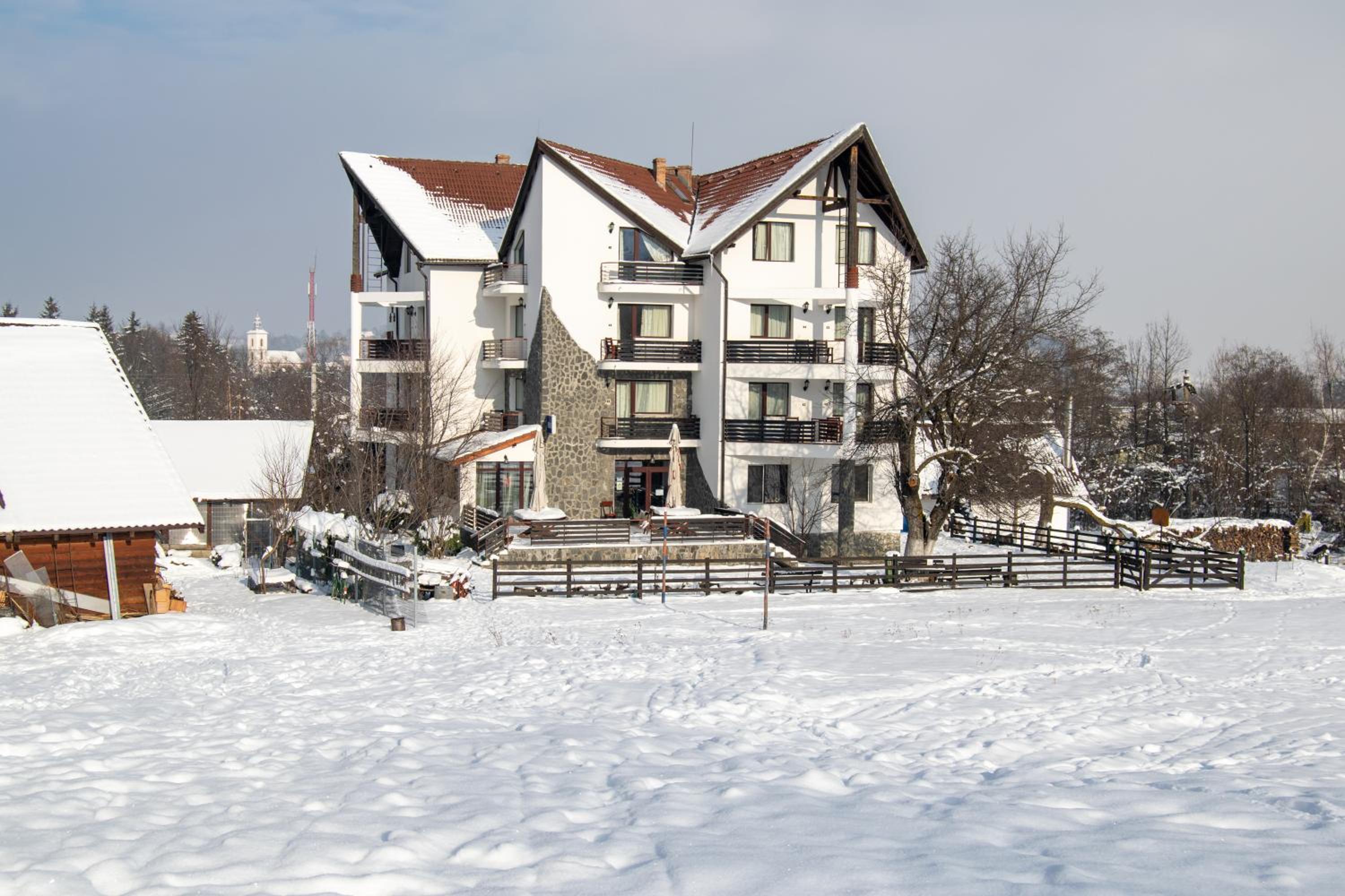 Photo 41