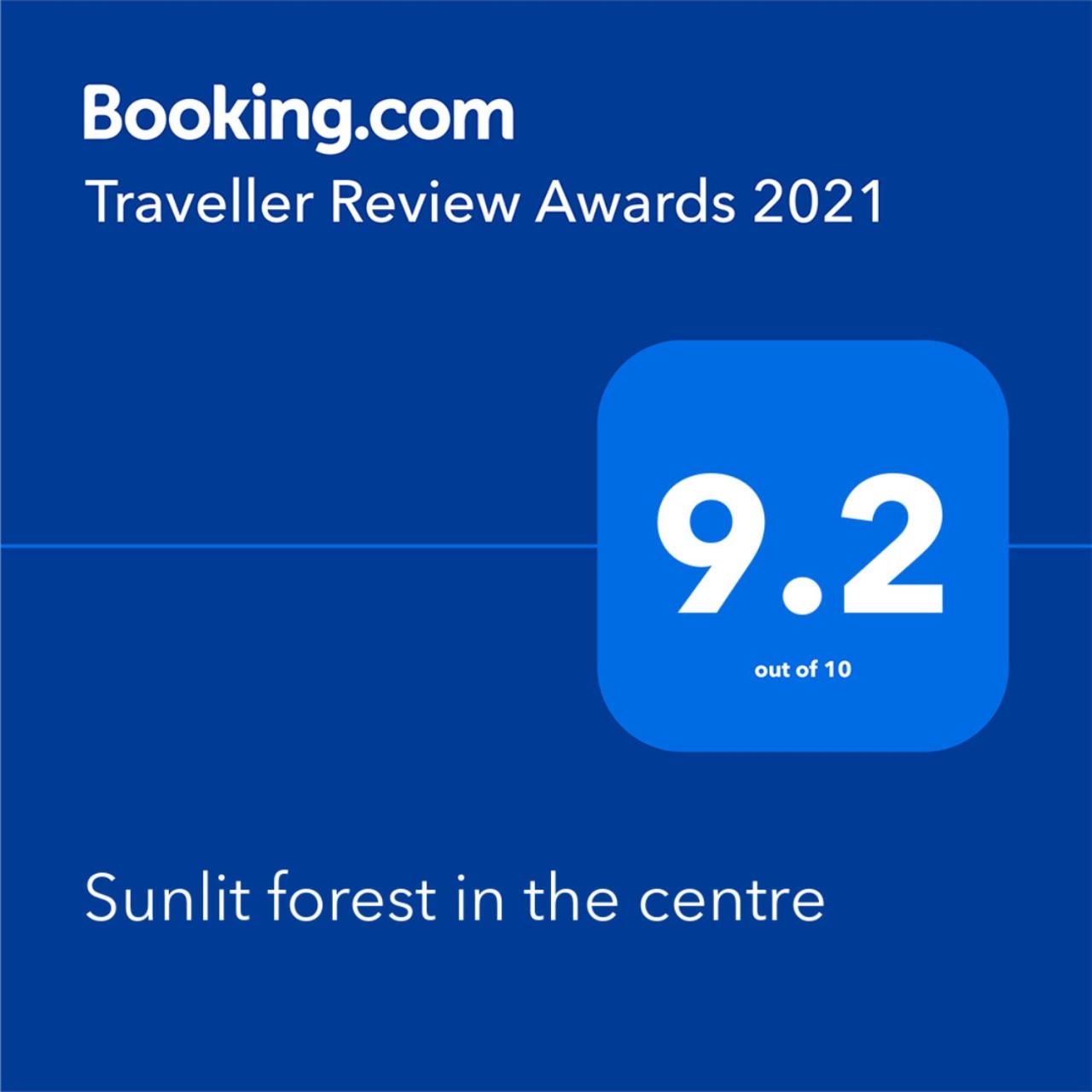 Sunlit forest in the centre view 5