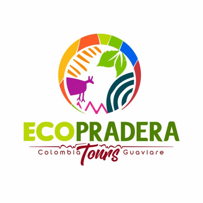 Photo 39
