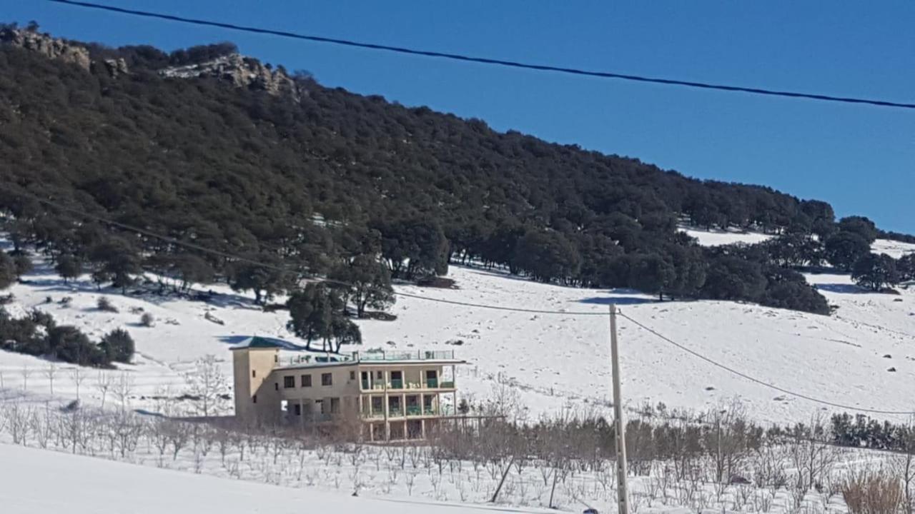 Le Chêne d´Azrou view 3