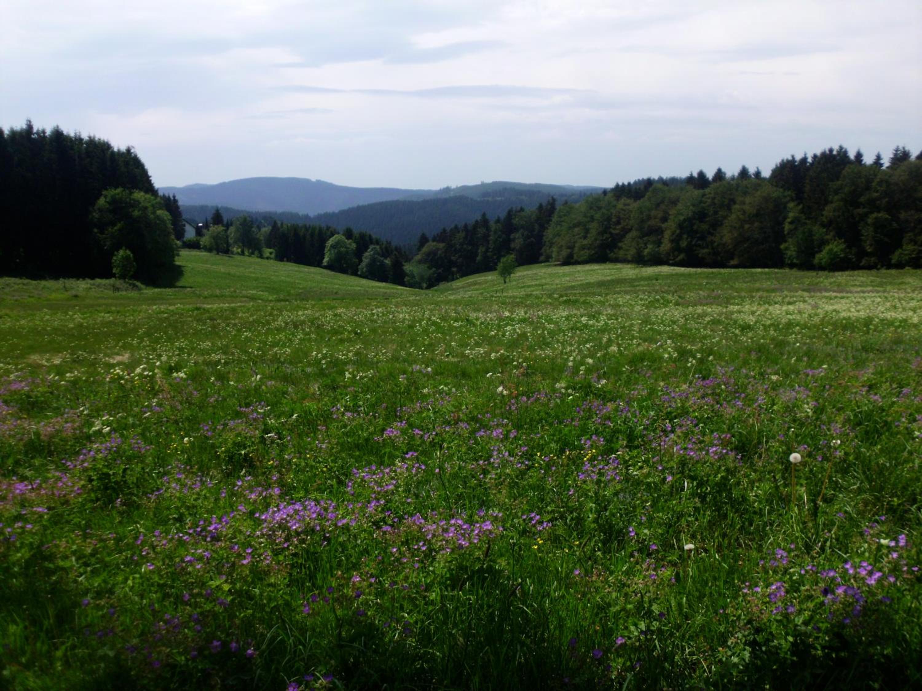 Hotel Pension Fernblick