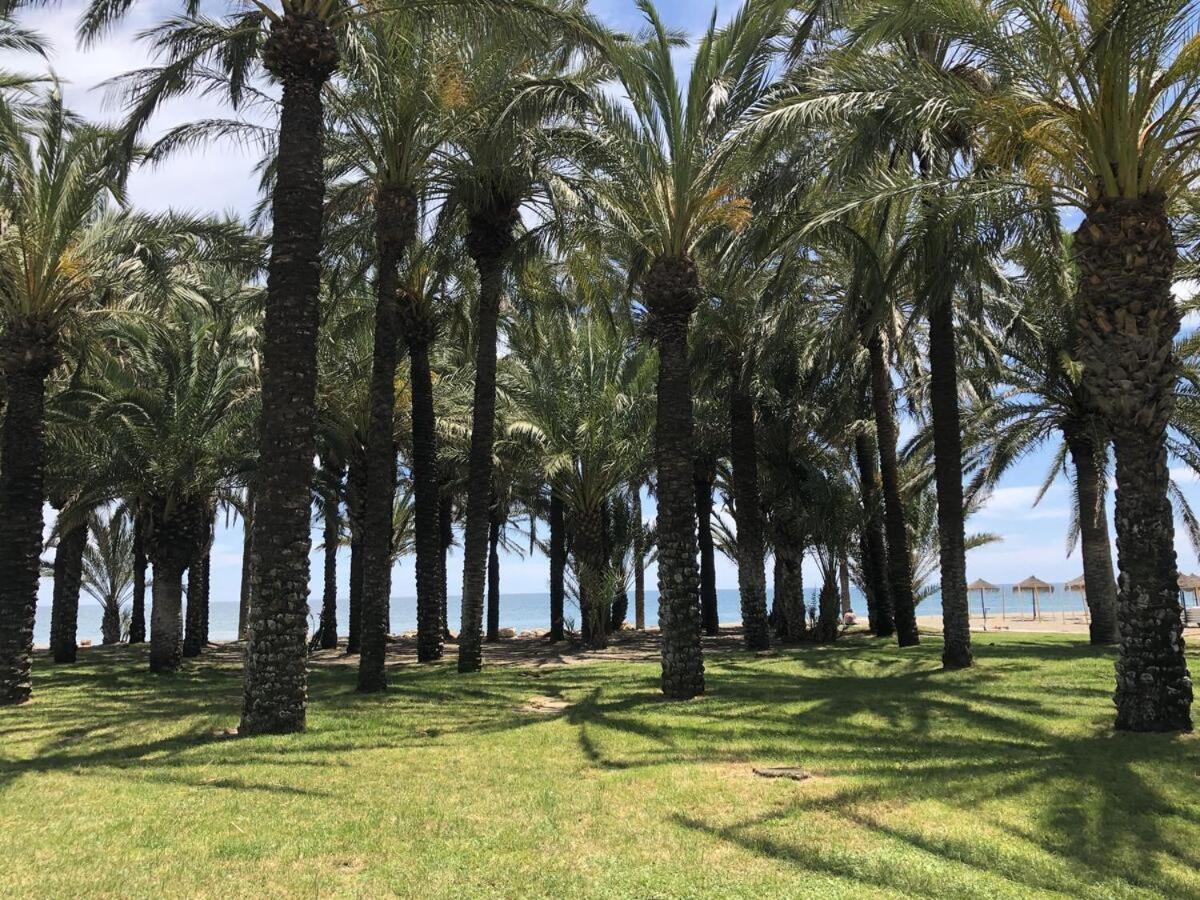 Apartamento El Remo view 2