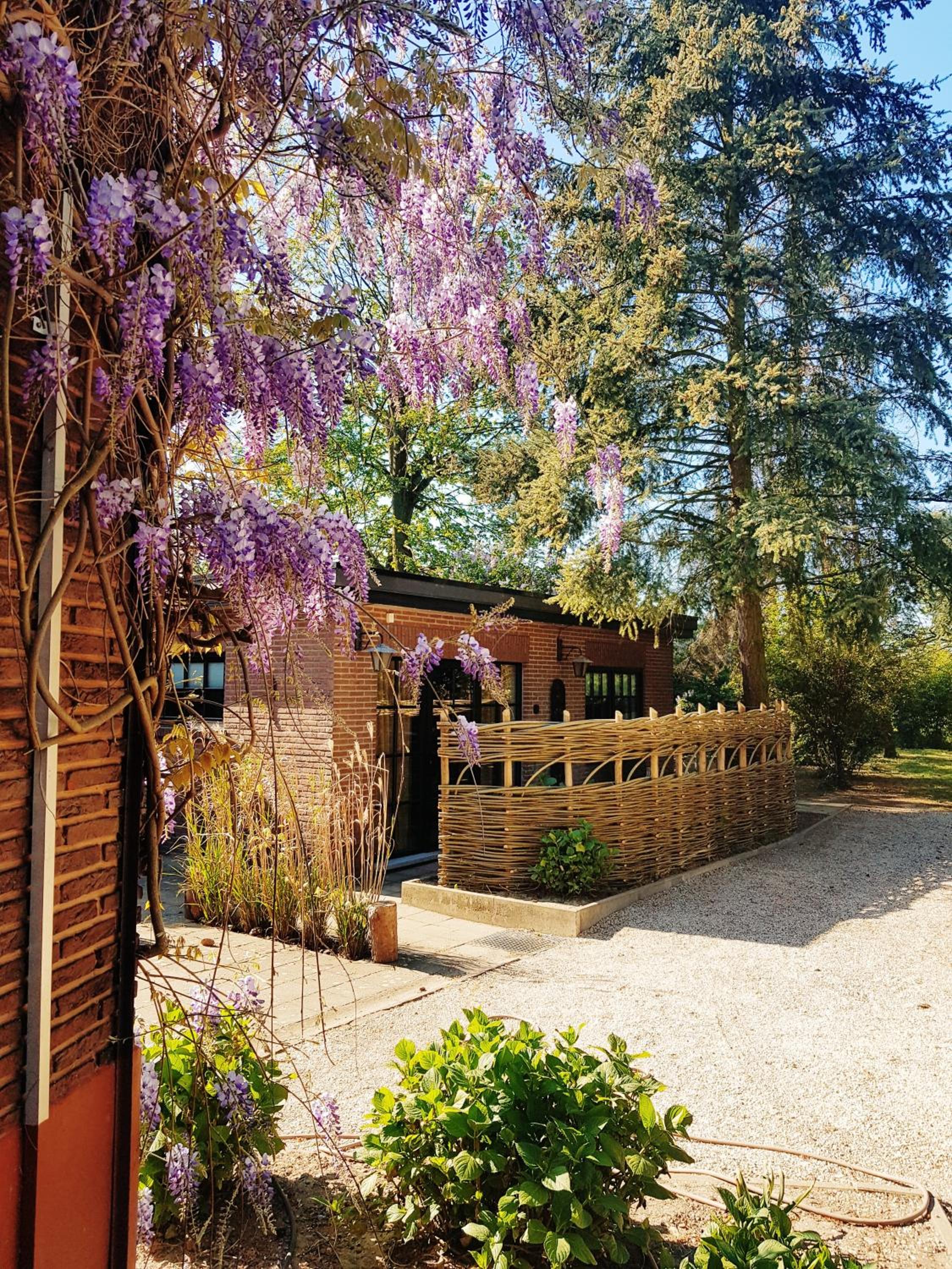 Vakantiehuis ABEL