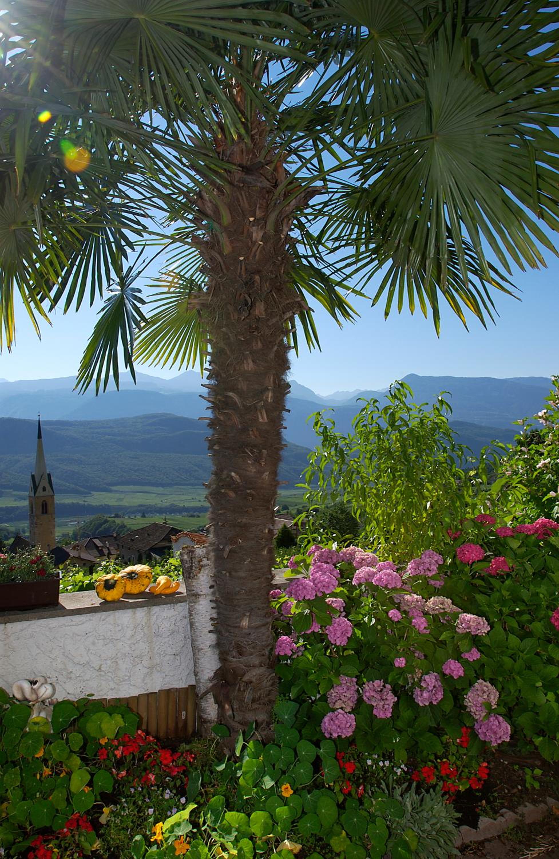 Pension Christl view 4