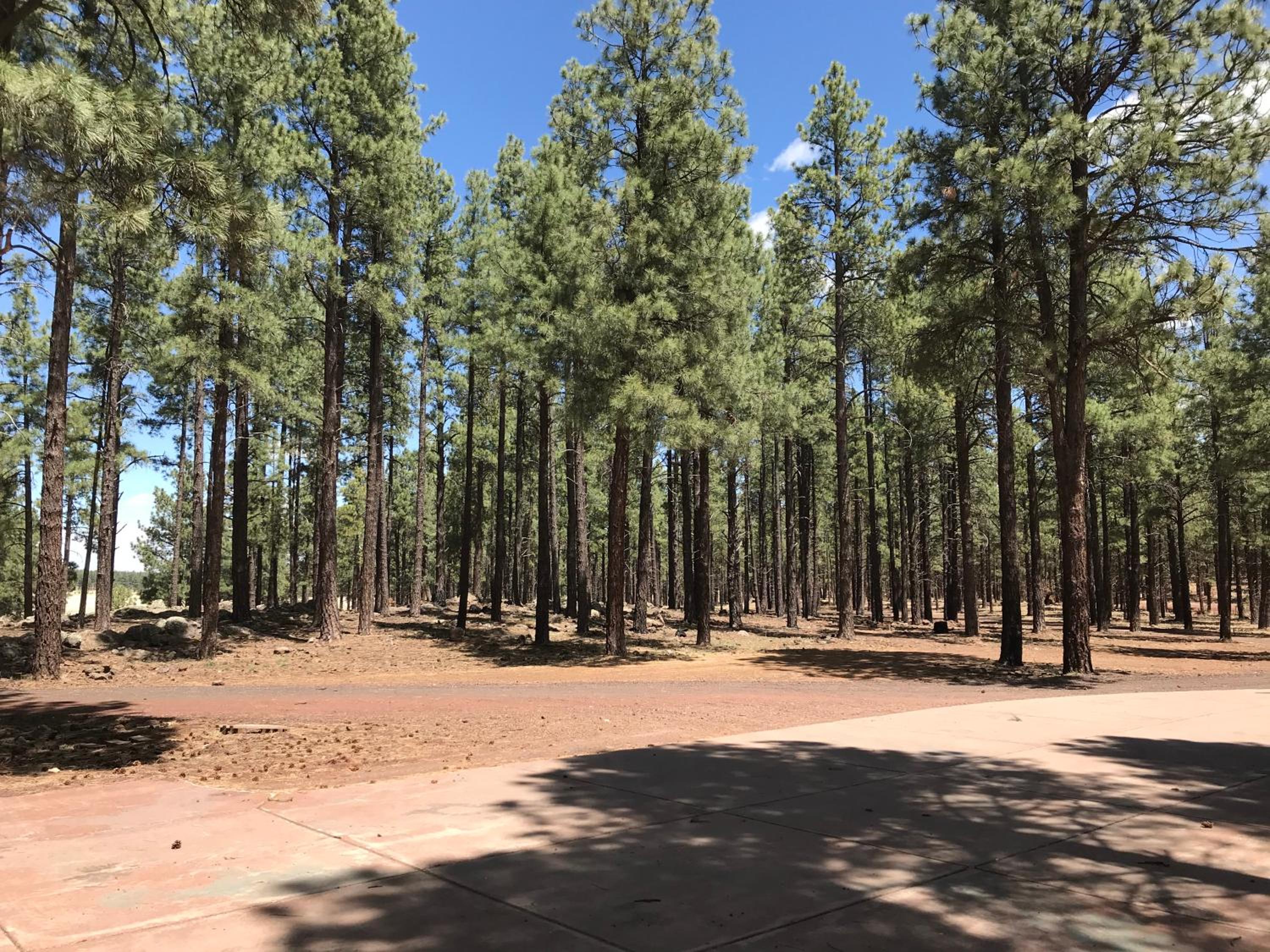 Grand Canyon Cottage at Historic Wrigley Ranch with Horseback Riding & Hiking view 5