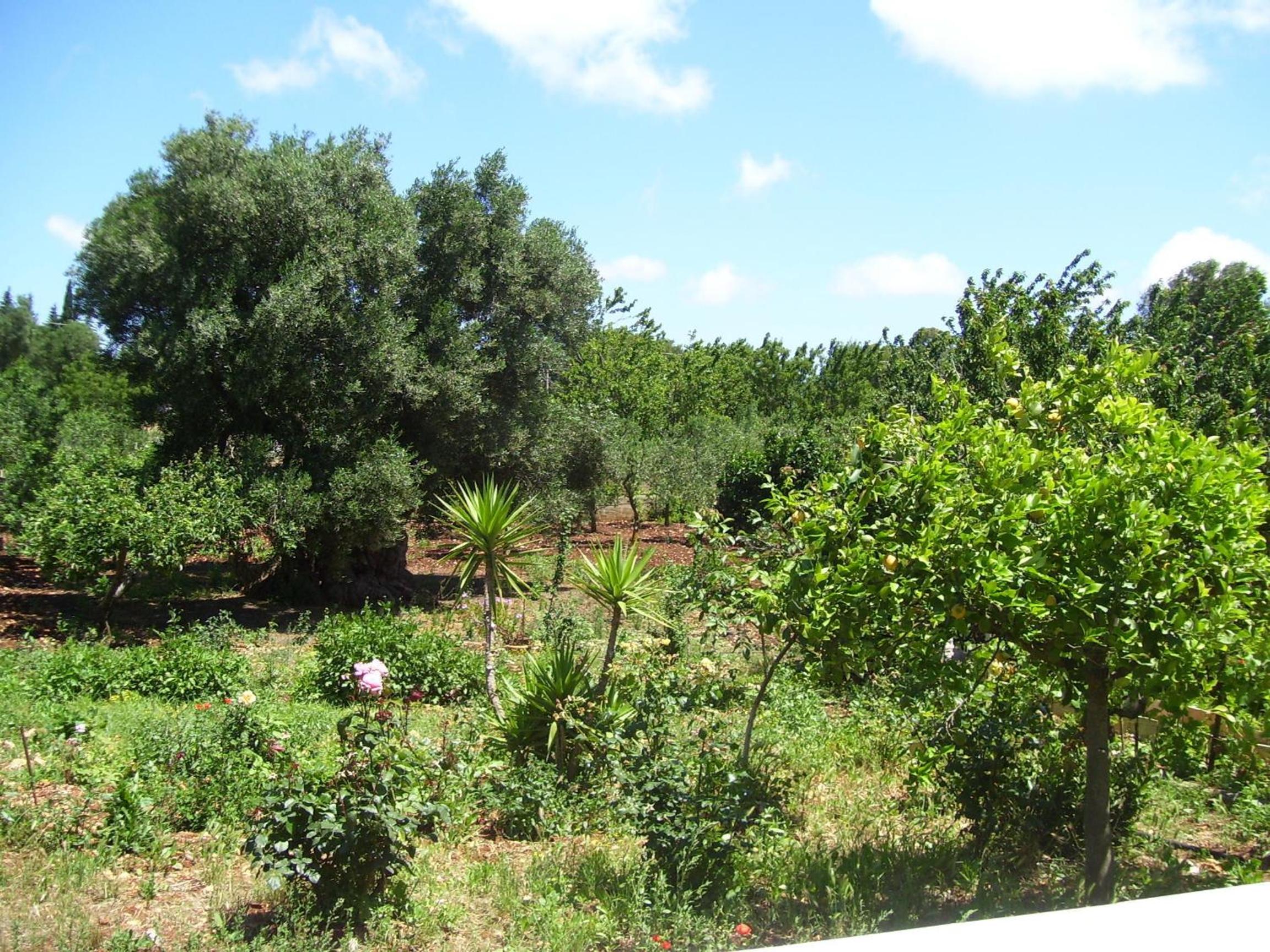 Photo 30