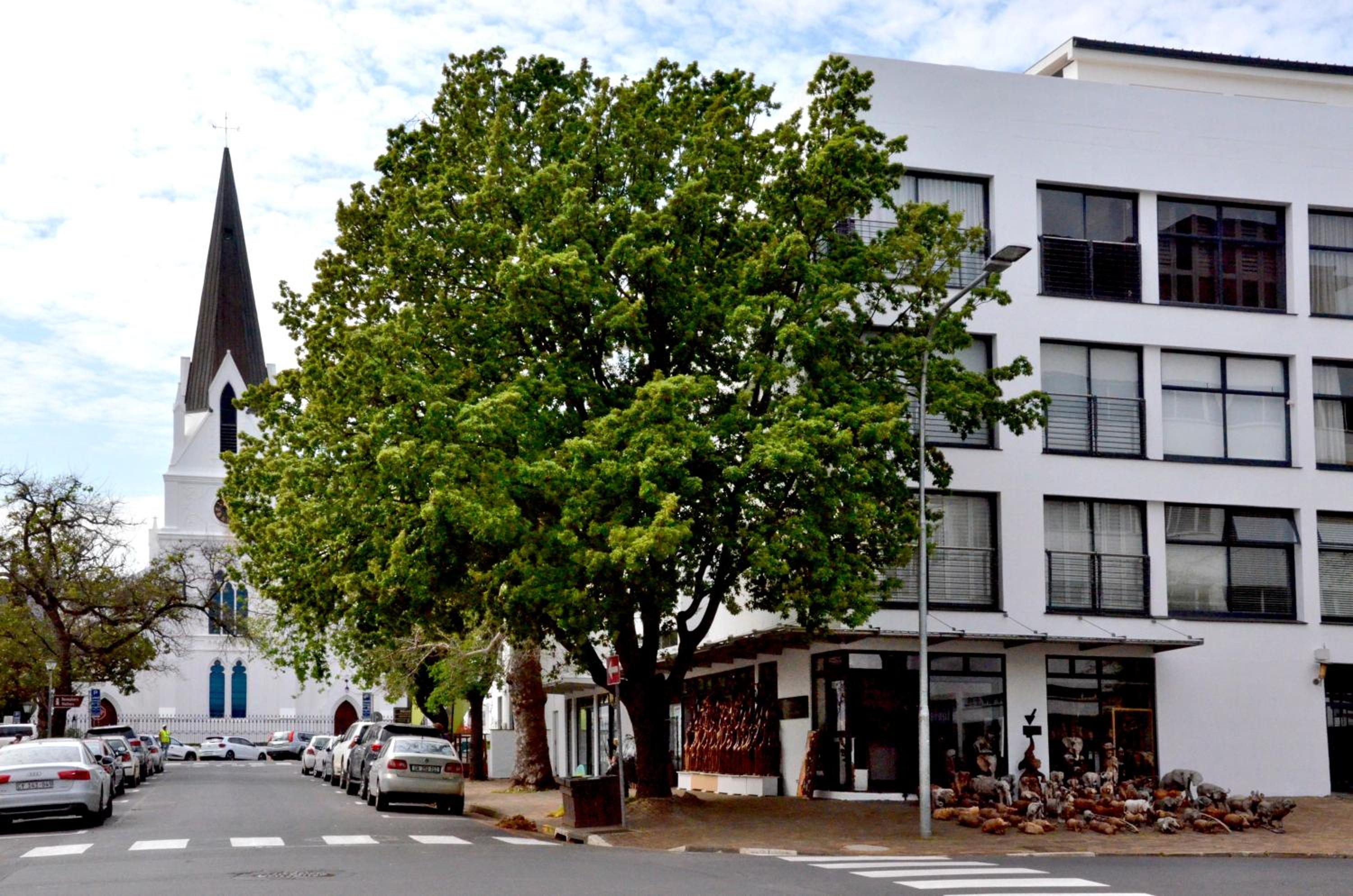 Hotel Concord Modern Apartment In Stellenbosch