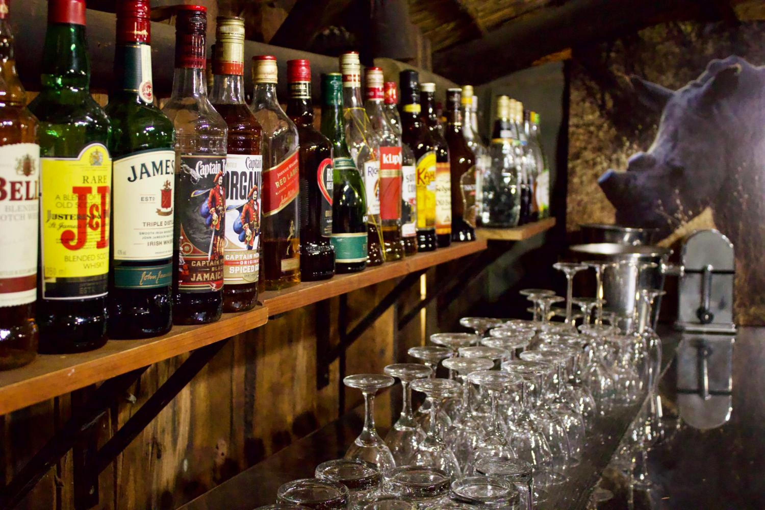 Mziki Safari Lodge