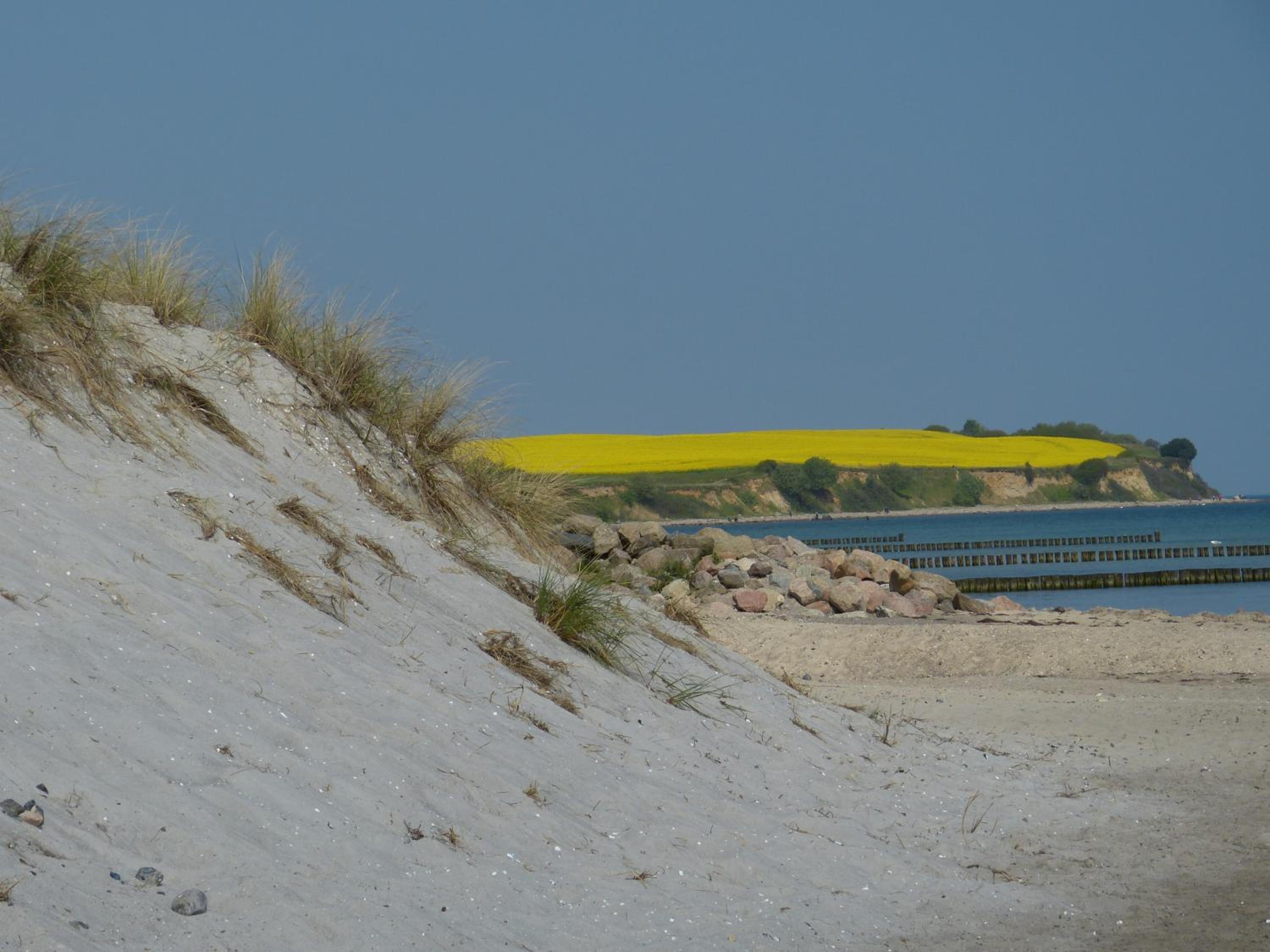 Reethaus Sonnenschein
