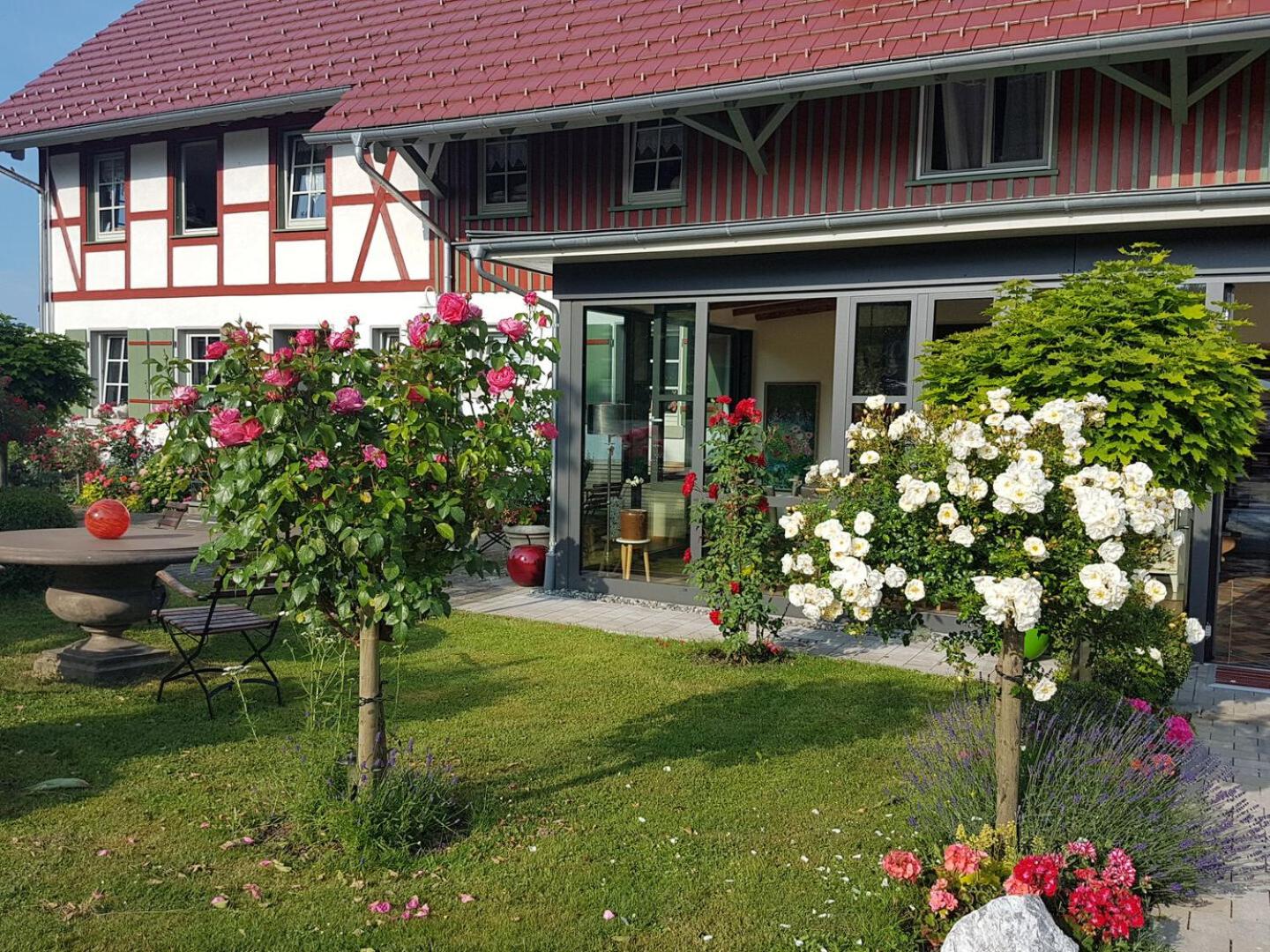 Landgut Apfelrose