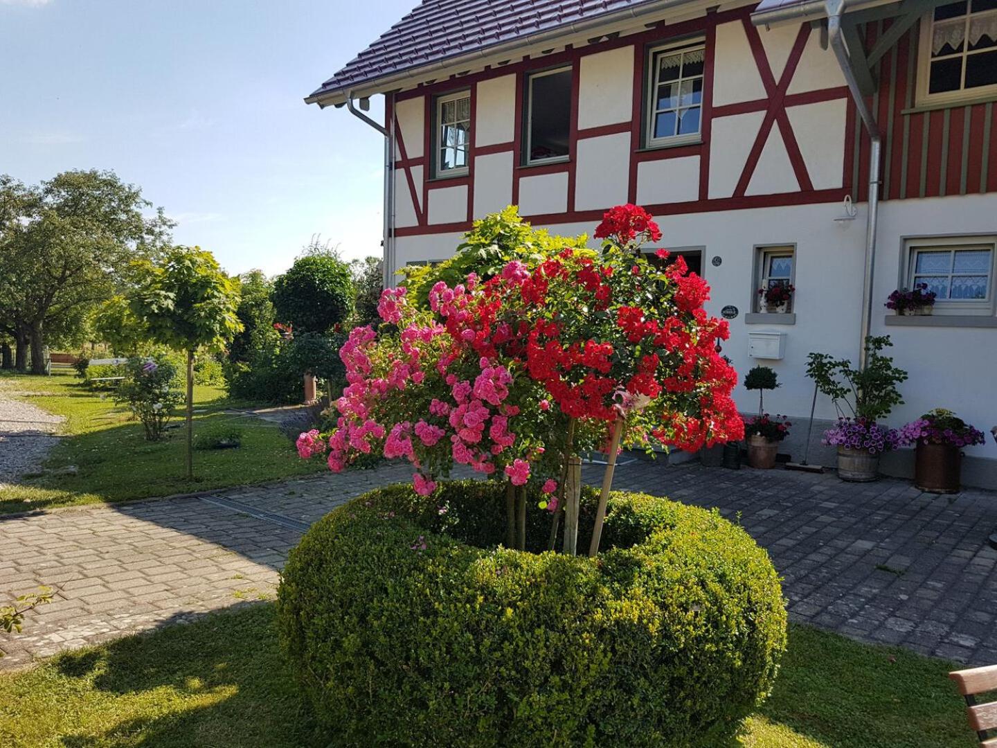 Landgut Apfelrose