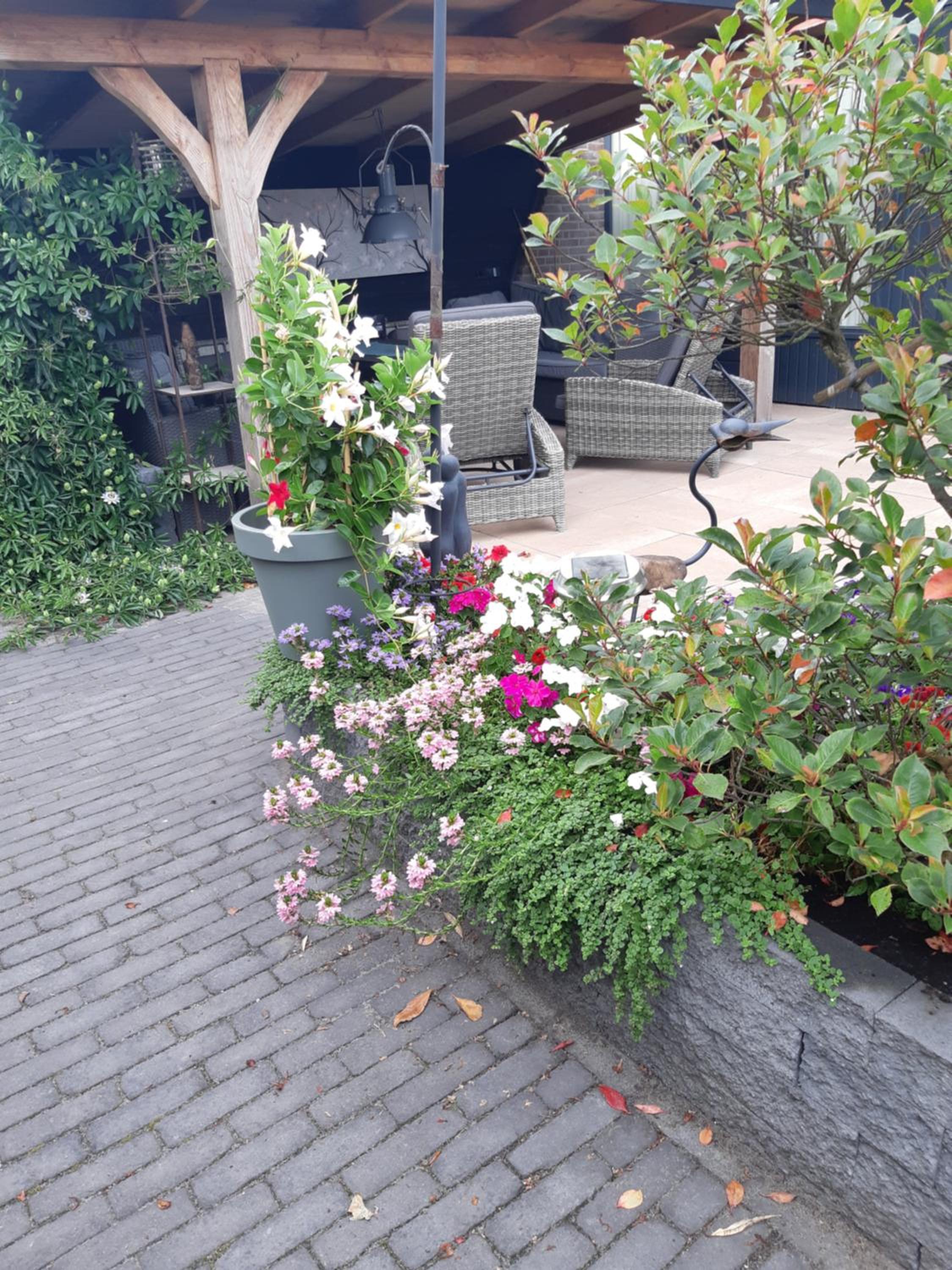 Photo 11