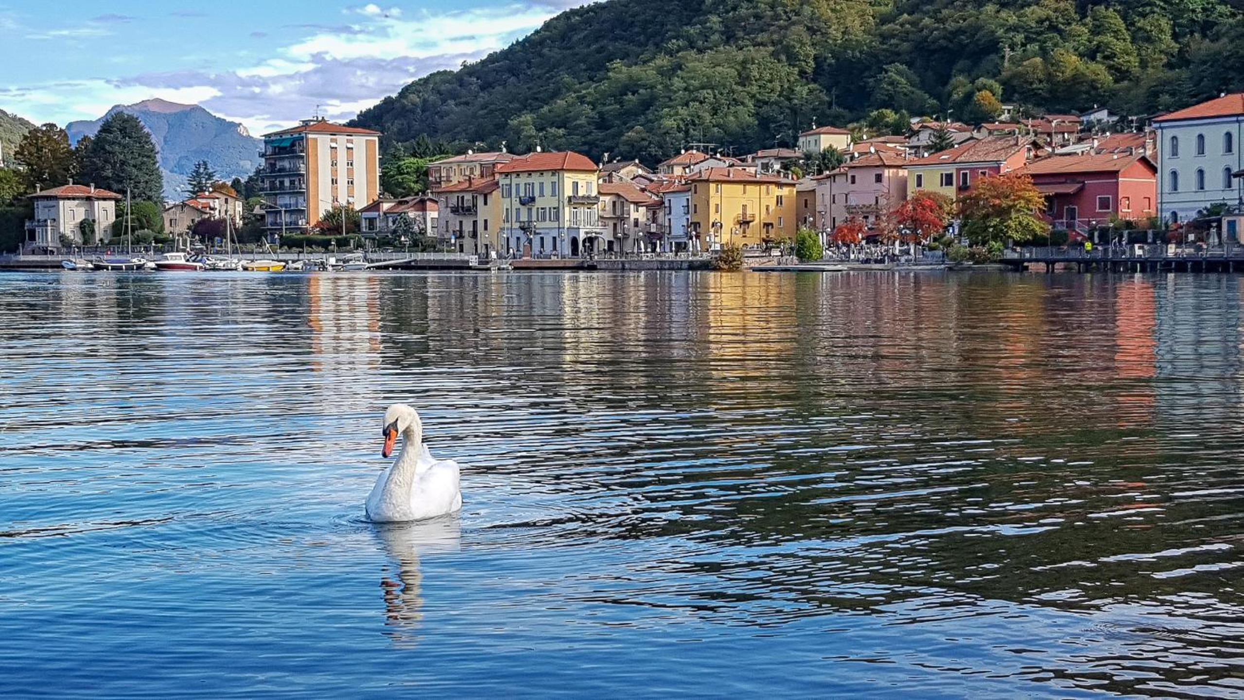 MAJOR SISTERS, APPARTAMENTO VISTA LAGO DI LUGANO view 2