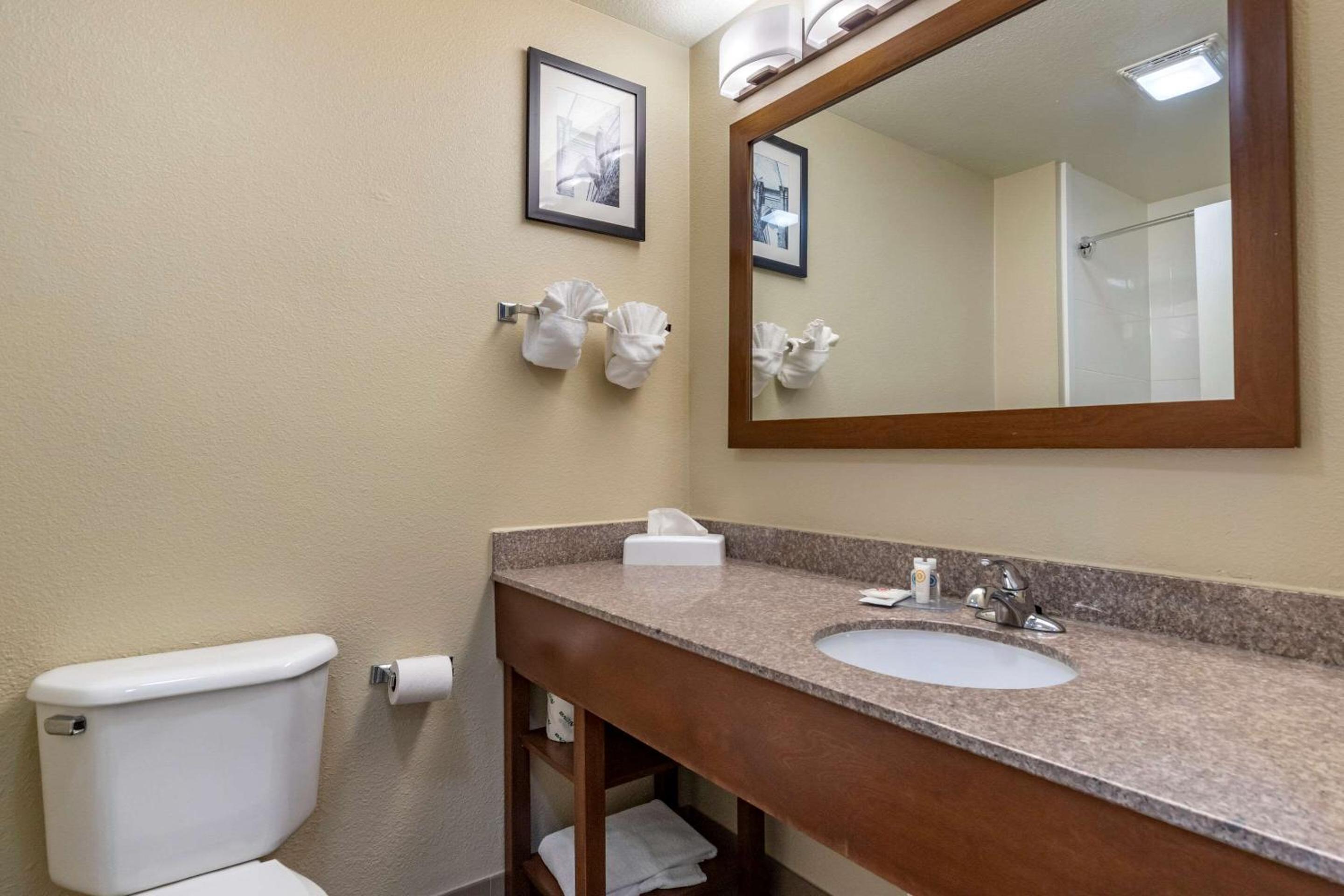 Comfort Inn  Suites Texas Hill Country - Property Image 28