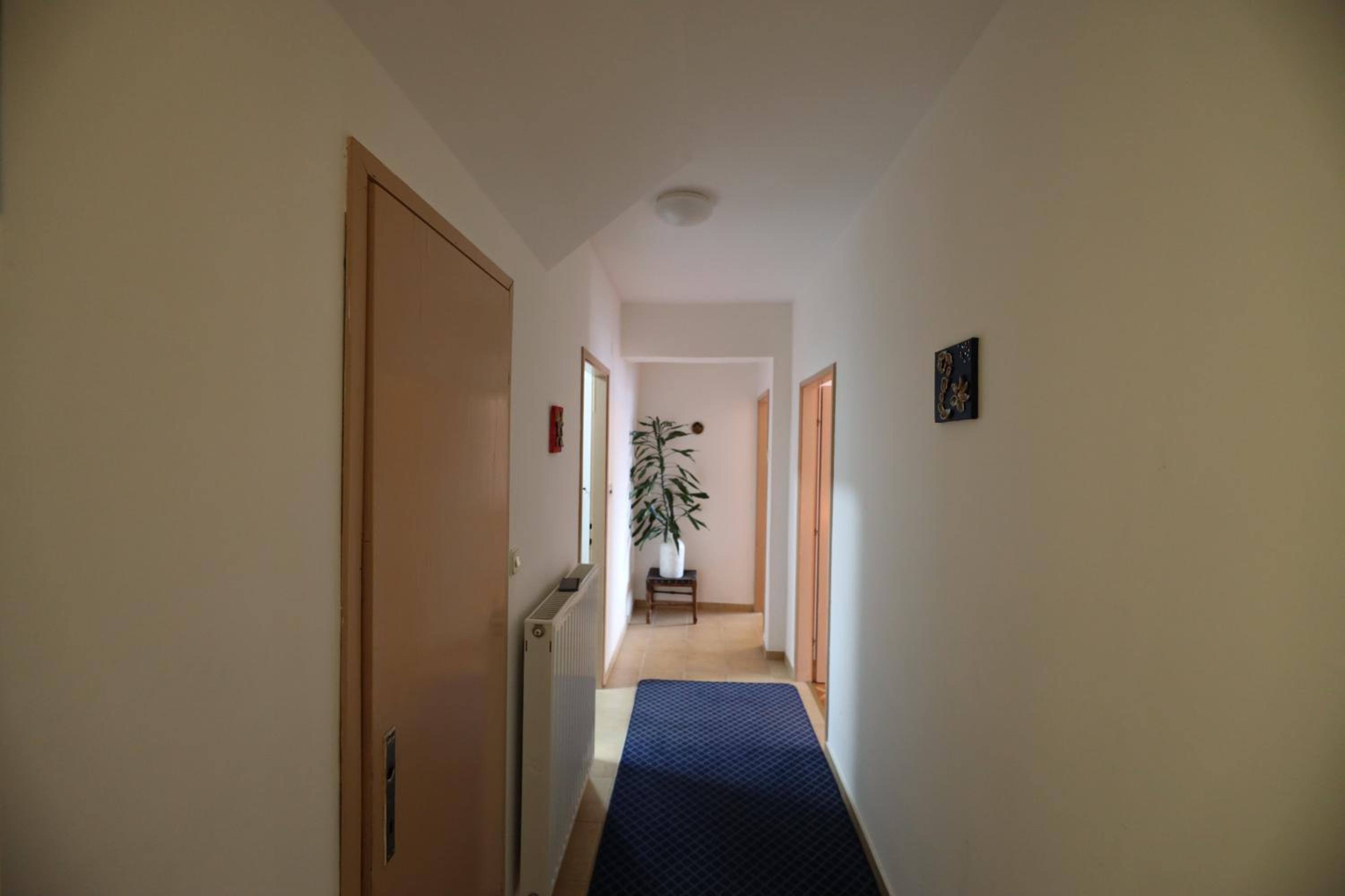 Apartment Cvjetna