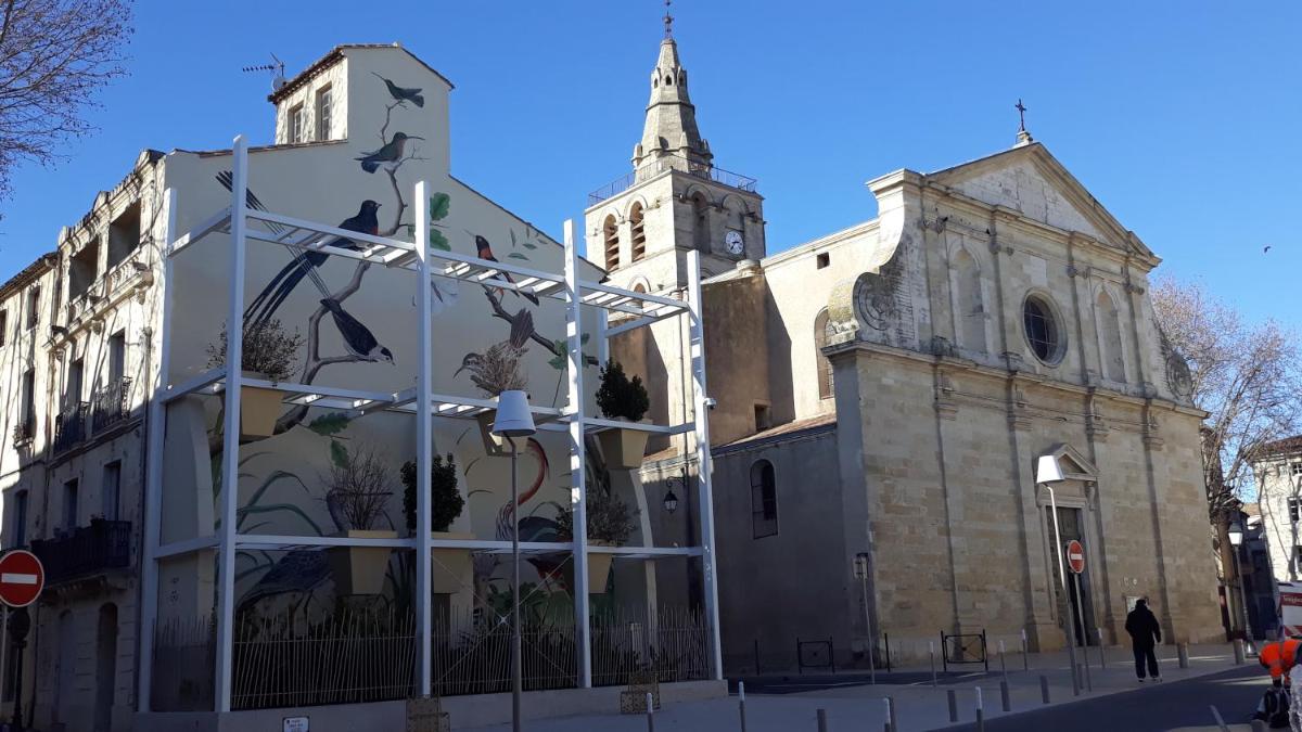 Photo 15