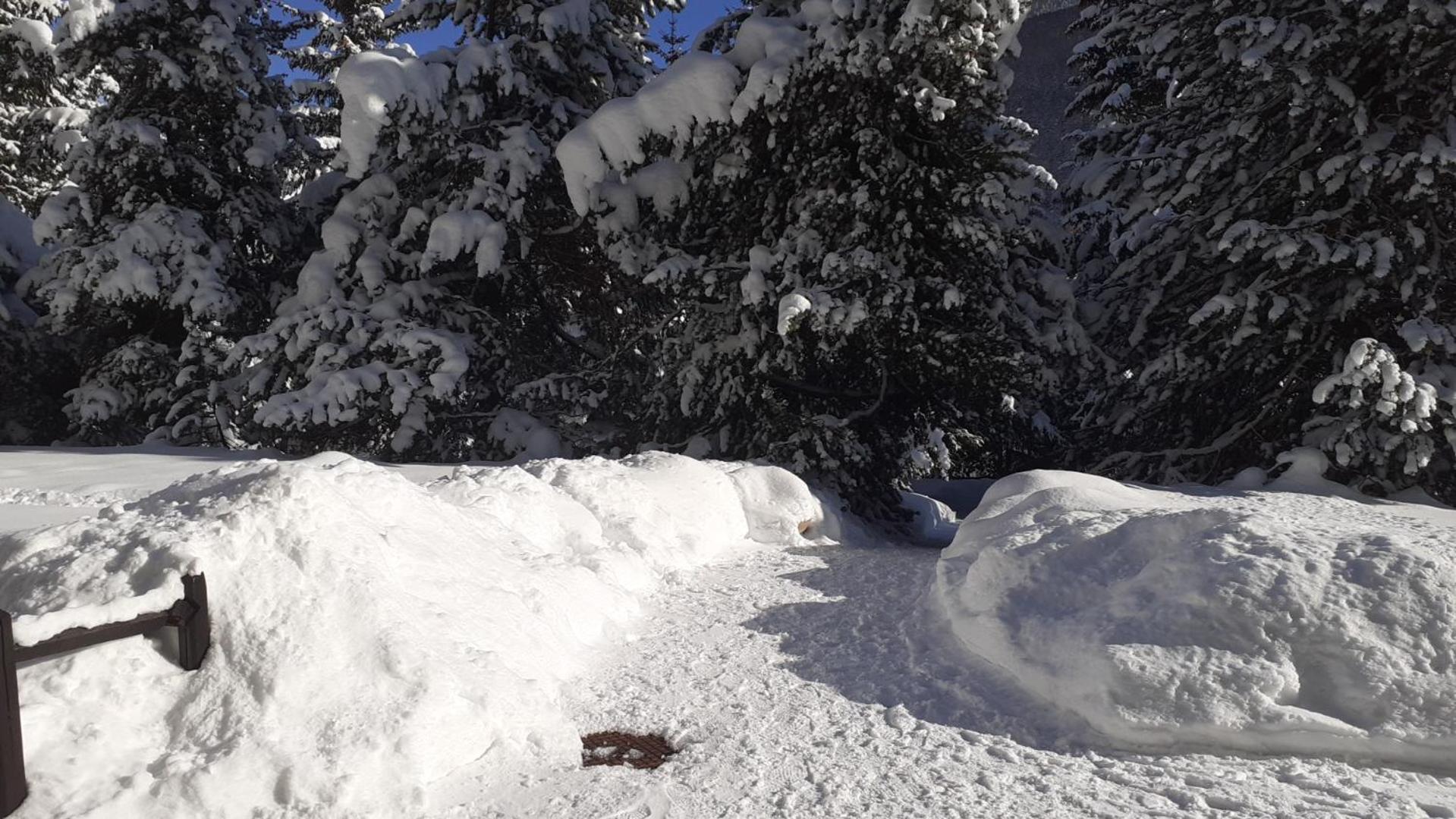 Appartamento Pragelato centro con giardino privato view 5