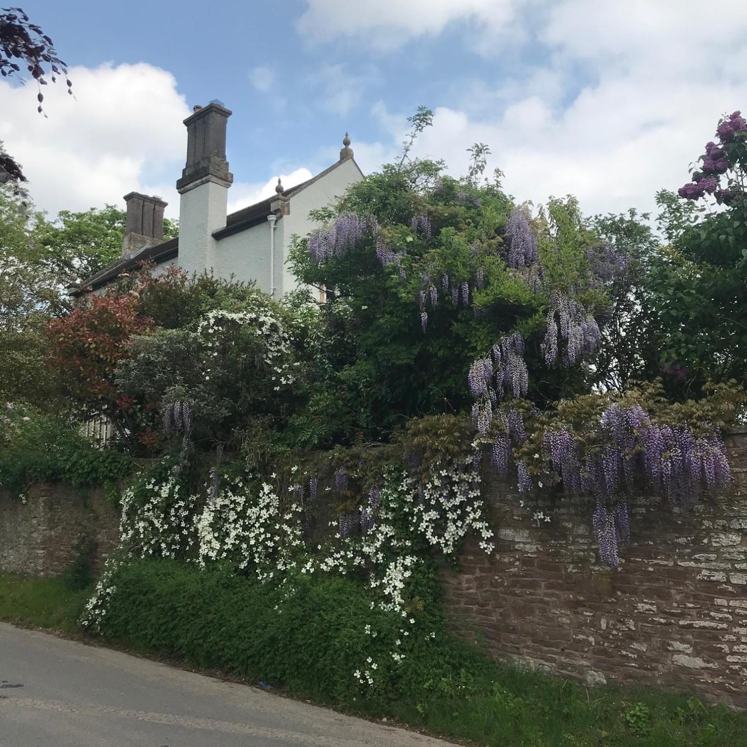 Blaisdon House B&B