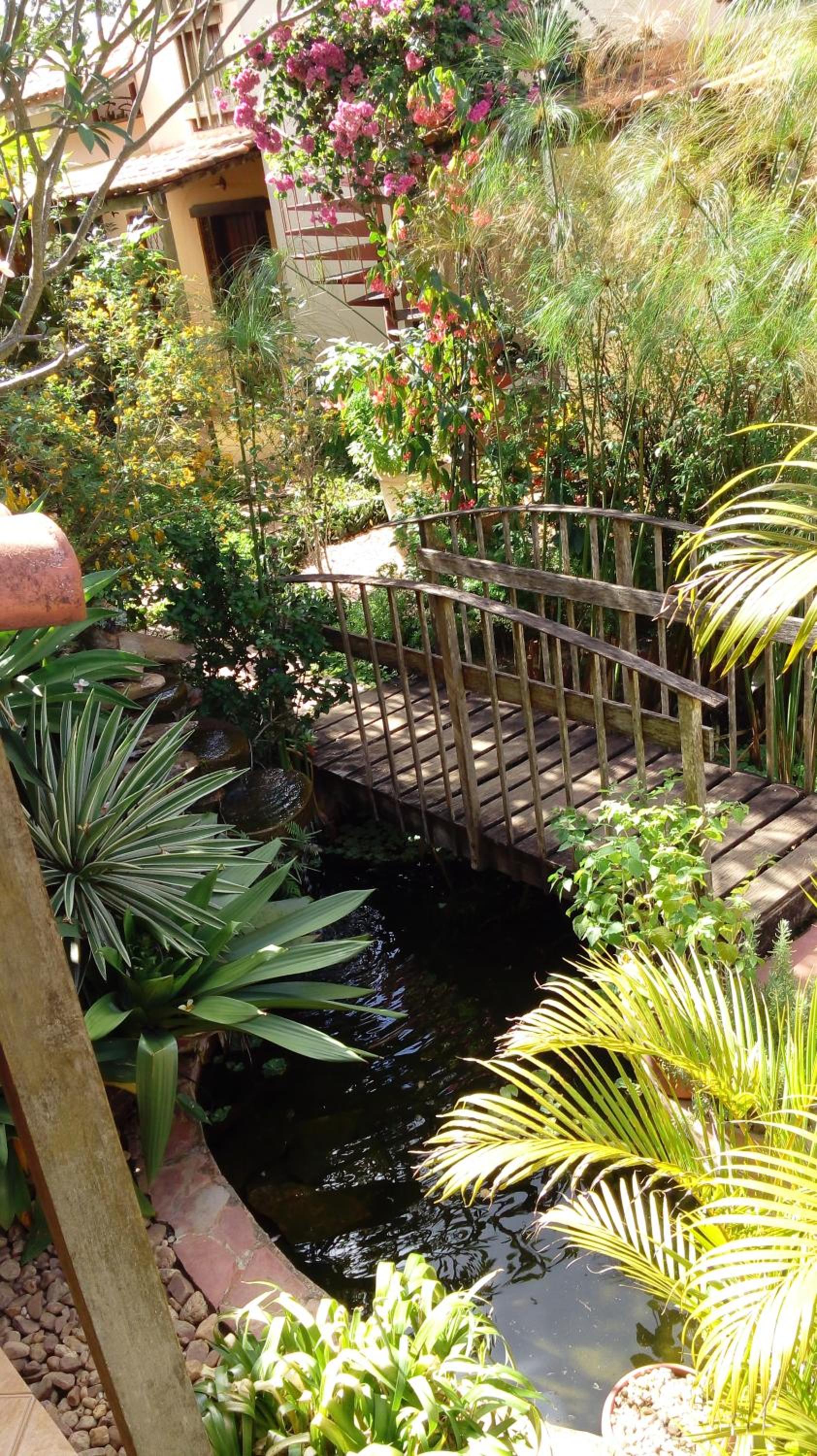 Eco Pousada Jardim do Eden view 2