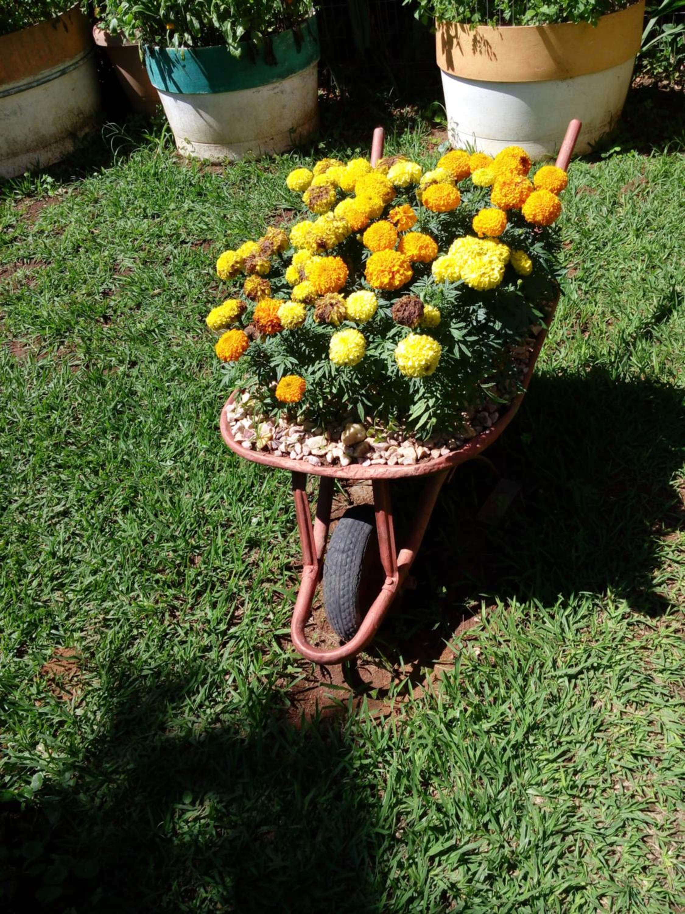 Photo 22