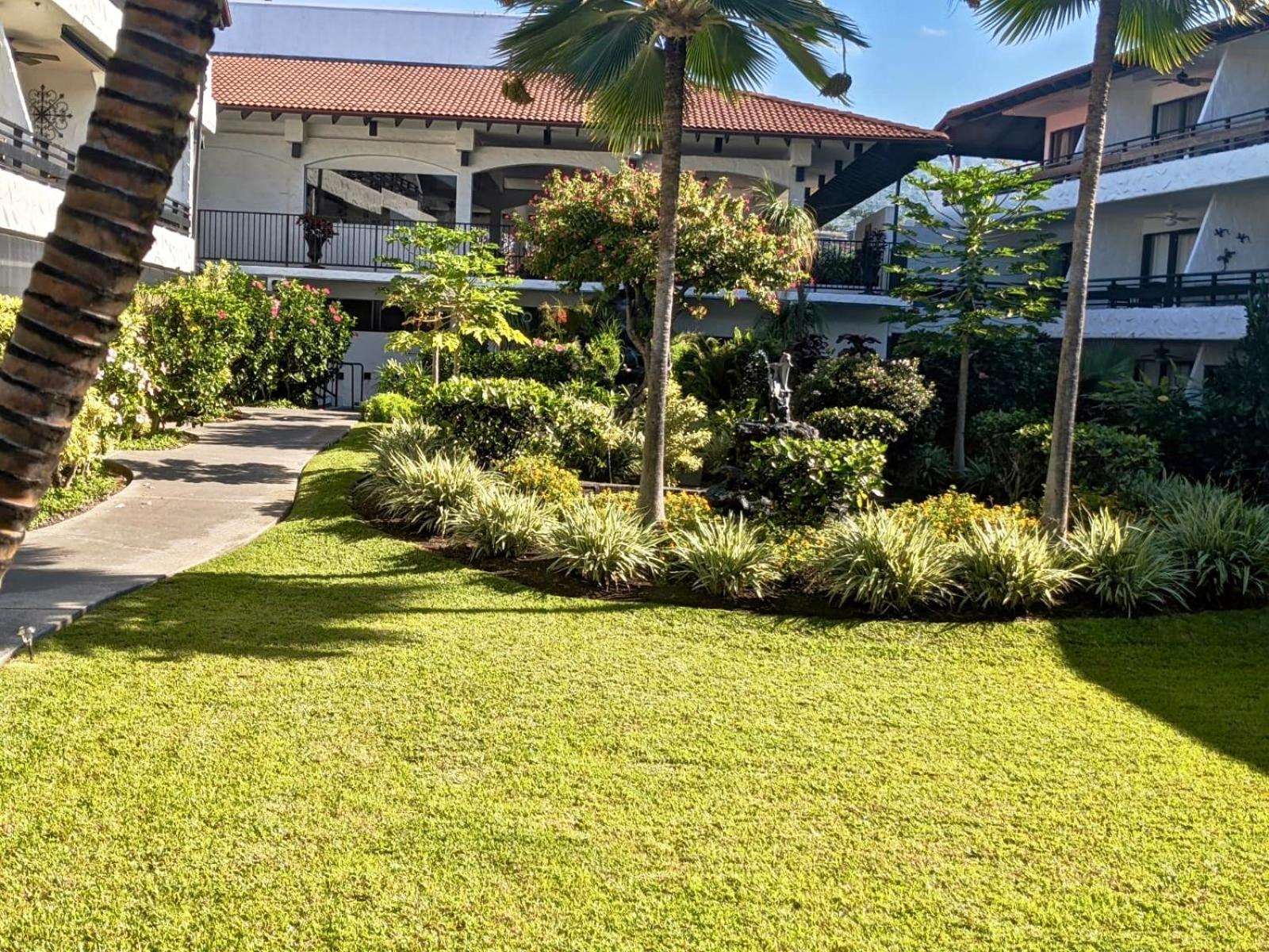 Unwind on Your Fantasy Hawaiian Vacation- 1BD/1BA Condo in Kailua-Kona, Hawaii view 5