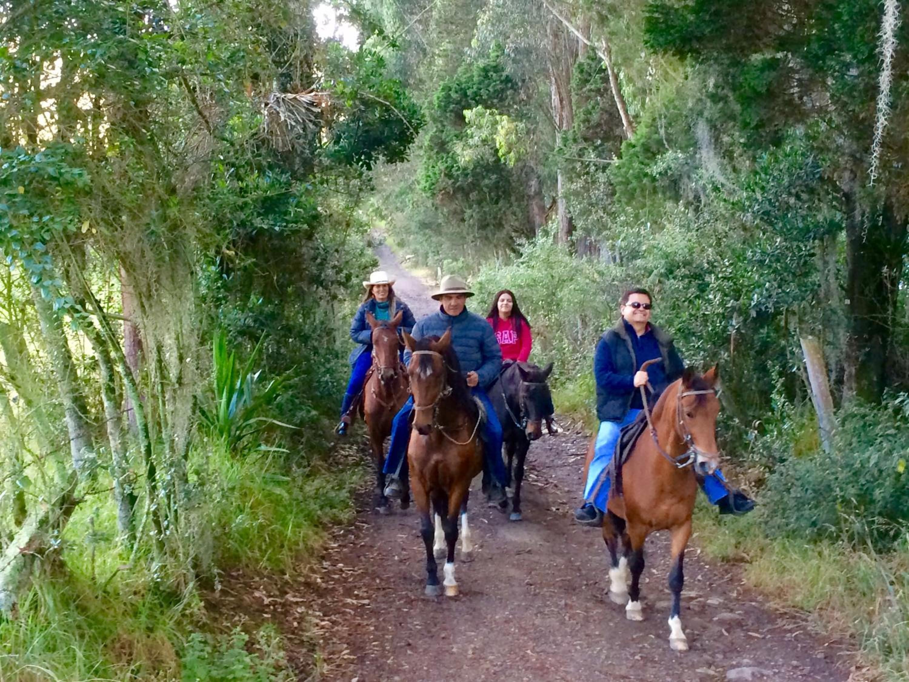 La Isabela Estancia Ecuestre