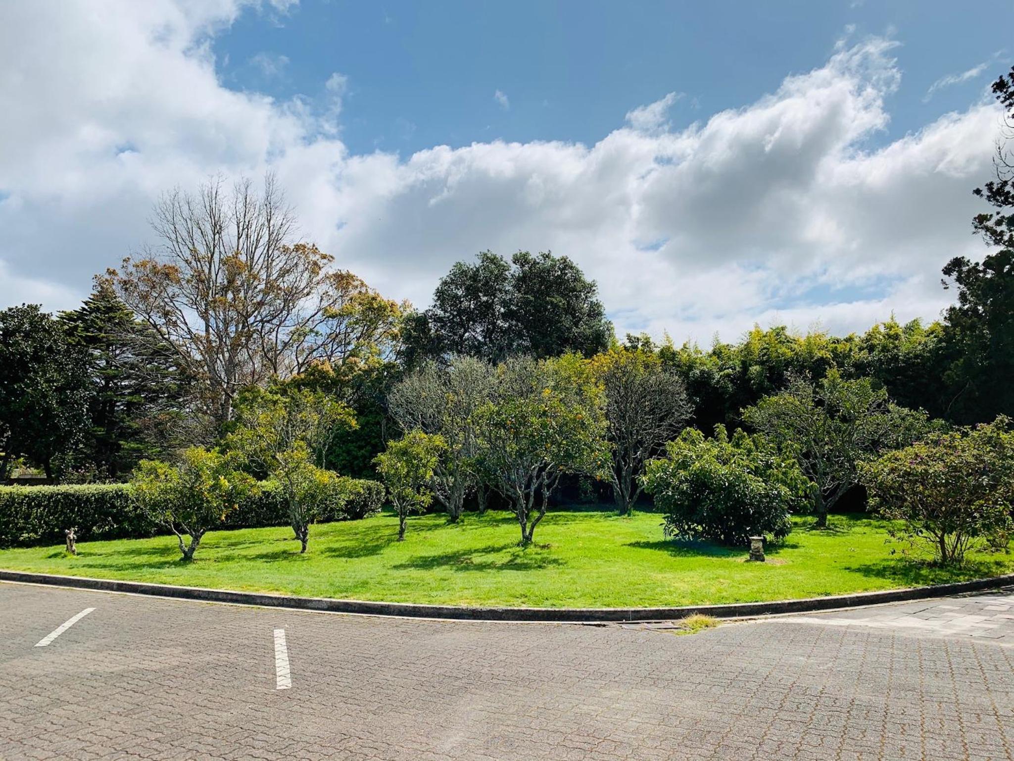 Aotearoa Lodge view 2
