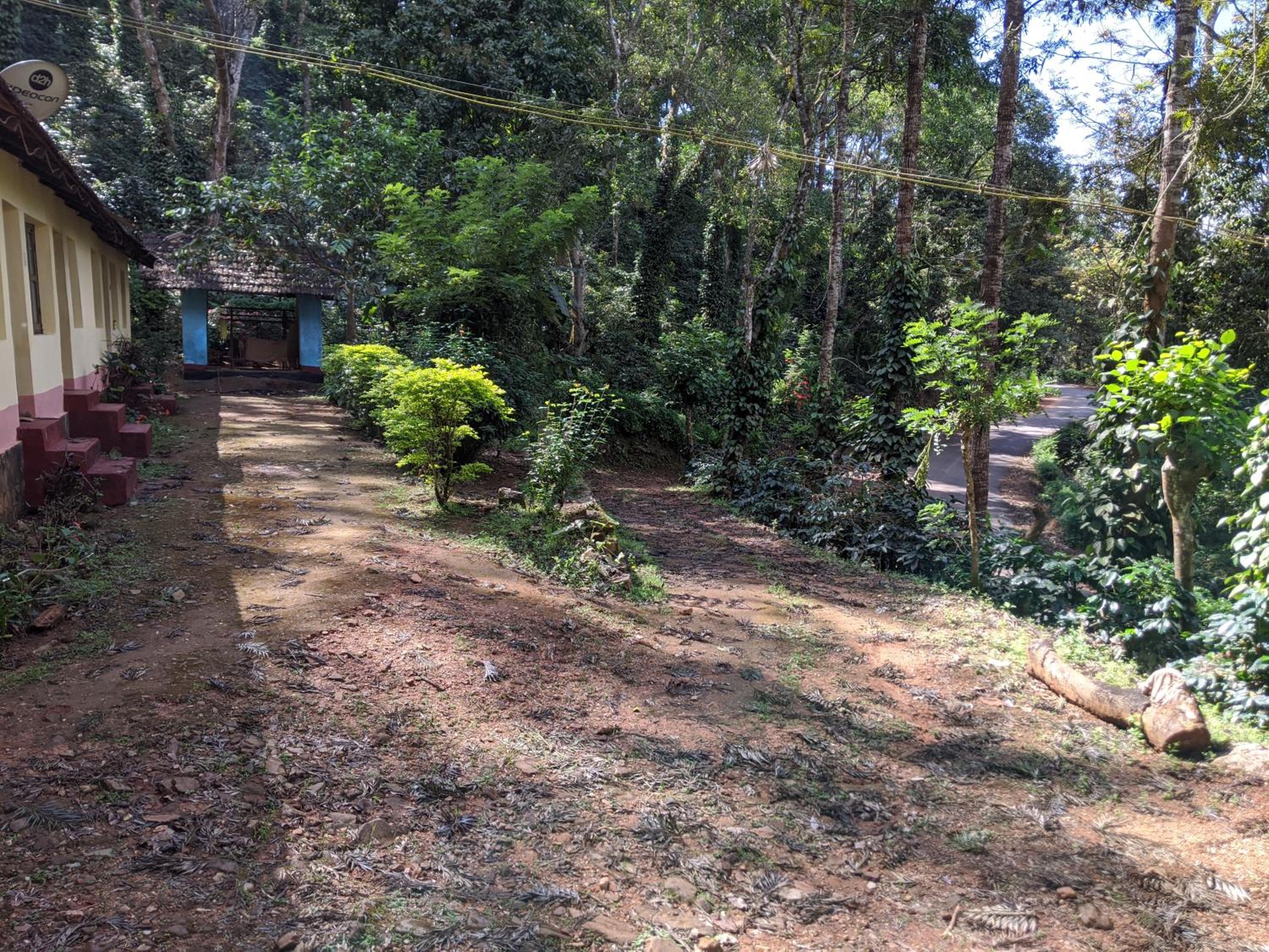 Photo 26
